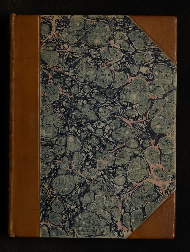 digitised image 1