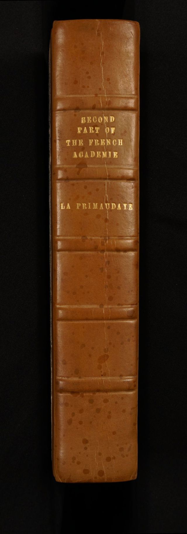 digitised image 2