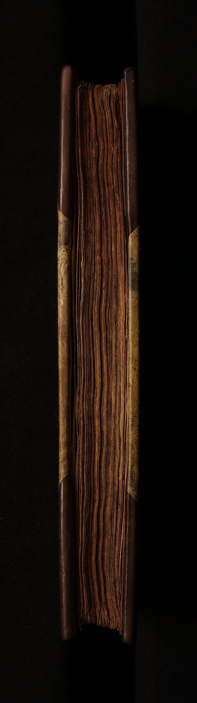 digitised image 3