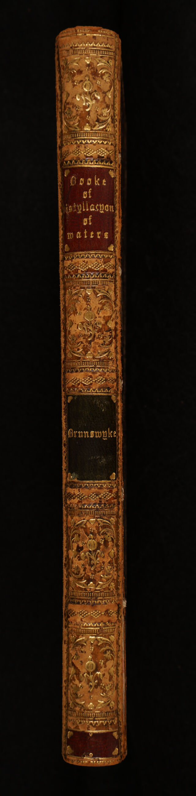 No text description is available for this image