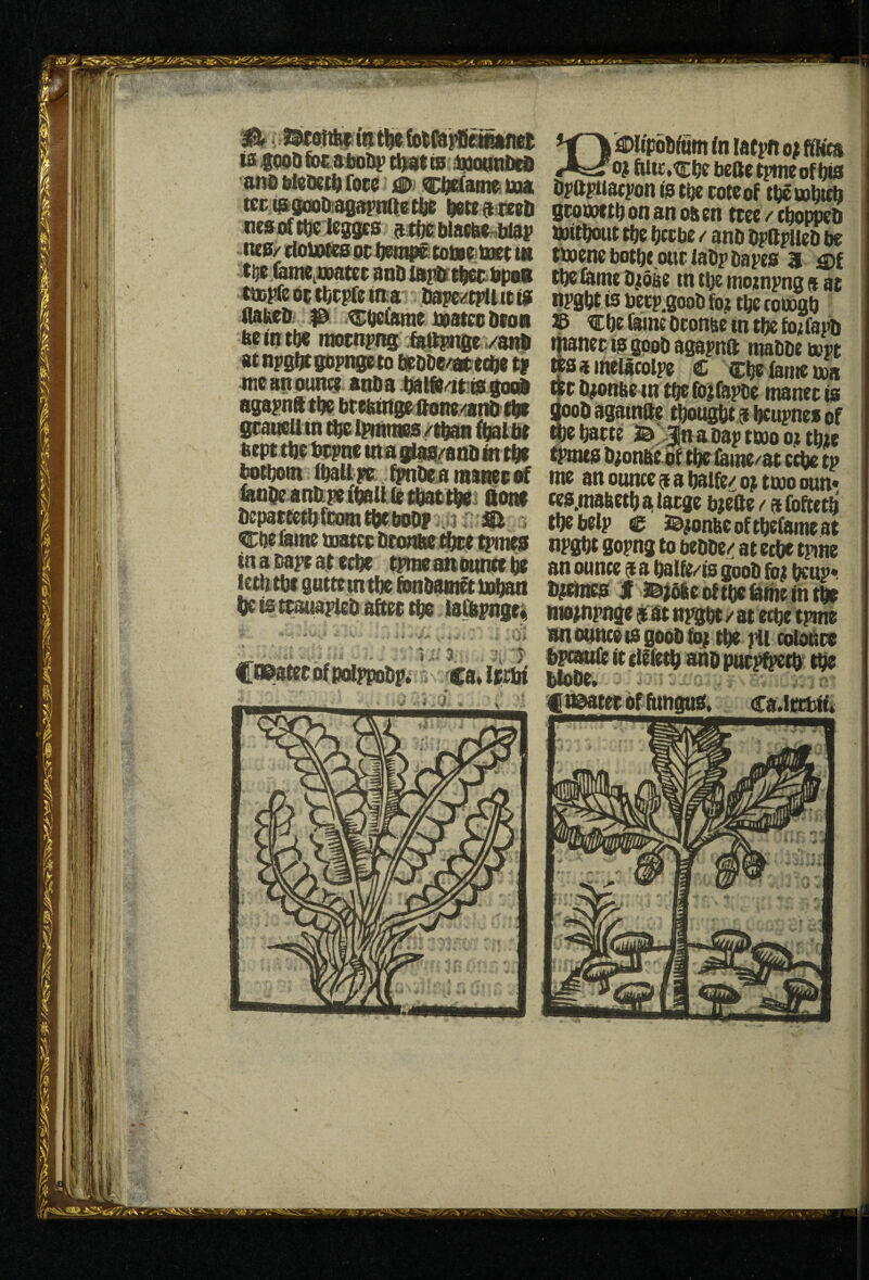 is IQoDfocaiJol^ (^tis iiiiQtinlitfi 'and bledcti) foes inx tec pgaoDiagartaiet^ ^ti 9M Desafnrteggcs at(;ei)l8«be»blaf ne?/ diolBtira PC (otsc b»( tit teitMtei; andlapdrt^pppt ttupfe 05 tfefpft in-a dapci^tpli it i» flabedi # ctKtoc ixtatcp bfoa aeiQti)€ ntPcnpRs /anti at OFsbtstipngpto t^Dbe^ecbe ineanountj. 8ni)a.batft<irta8ooi agapnft tbP brebtngaftotw/andfbt Scauell in ipnnws/tbaii (batbt bept tbe bepne tna gtasn/anb in tbf bottom (baU jfK ^pnbea laaapc of ianbeanbipeibattittbactbai aotn bepattetbicom^boOf ,a ' SI . CbP fame matcc bronne Cbce tptes tnaDapeatacbe tpme^bumebe letbtbf suttetntbc fonbauiftboban ^ is tcauaFieb aftec tbe lafbpnge;: Ciestccbfpolppobpi 'Ca,Iprbi bpOpiiacpon is tbe cote of tb^uobab geointtb on an oaen tcee / tbot^b mitbotit tbe bccbe / anb bpftpueb be tODenebotbe.owclabpbapes 3 £){ tbe fame b#otte tn tbe motnpng a at npgbt is becp.8oob foj tbe rooogb © Cbefamebconbeintbefo;f8pb ifianecisgpobagapnft mabbebopt fsamelacolpe € Cbe fame cos wCl4anbetntbefo|rapbe manecis ooobagamfte tbot^abcupnesof ^e bacte B :^nabap ttoo 0; tbte tpmes b;onbe of tbe fame/at tp me an ounces a baife/ 0; tmo oun* ces.msbctba,lac8e bjefle / afbftetb tbe help c Bjonbeoftbebimeat npsbt gopng to bebbe/; at eebe tpme an ounce a a bai{e<^is goob foj f^up*. bjcines X B^eoltbe&bieintbe nto^pnge a at nrgbt/at etbe tpme atittmceisgoobfo; tbe pll cofobta bpeaufie it etf fetb ahb pne^^ ti^ btobe. :