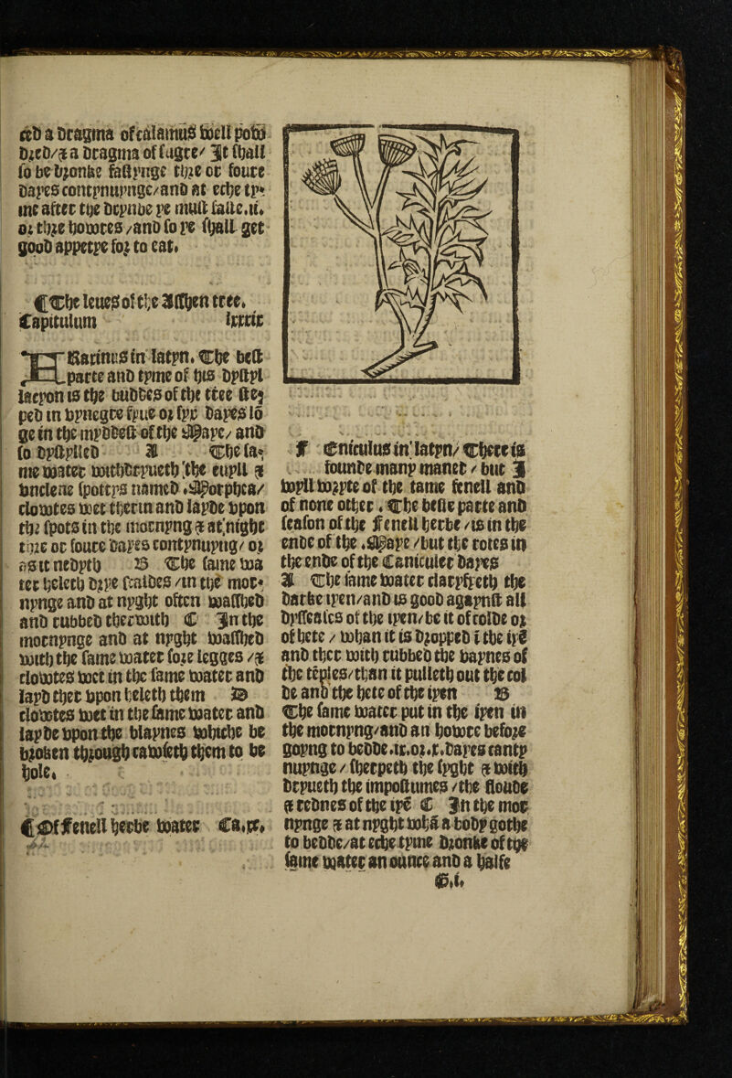 ttOaDcasma bfdiamuiS D#eD/j a Dcagma of fagtc^ 3t ftall fobe b;onke ^Brnge tb^eor fouce Daj’escontrnupngc/'anD at cc^e tp» mt after toe l)ci)nt)e re muit fatte.u* ot tb;e ijooares /ano fo re get gboD appetre fo.t to cat* f Ci)t Ieue$ ot ti;e 3^ (Itien tree. iCapttulutn ttttie HiSattnusm latrn*Cf)e beft parte anD trme of bts bpftrl lacronistfie buDbesoftbetree ftej peb tn brnegre frue m frr barCb 15 ge in tbc mrbbett of ti)e ano^ (0 brlfriicb 3B Cbe fa«5 mettjater witbbrruetb ;tbe eupu j bnclene (pottrs nameb «!^otpi)ca/ cbnutea ttettt/CrtnanD larbe bpon tb^ fpota in tbc mornrng 9 atinigbt t.9ic or foure bares conirnurng/' oe asitnebrtb 23 ii:be fame tua ter belctb Dire fealDcs /tn ttje mor« npnge anD at npgbt often ttiaObeD anD rubbeD tbemtt) C 3ntbe mornrnge anD at nrgbt boaffbeD boitl) tbe fame boater fo.ie legges cioboteg boct in tbc fame boater anD iarD tbet bpon belet!) them 2^ clobotes boet in tbe Csme boater anD lapDe bponttje blarnes bobicDe be biobentDioagDtabofetDt^emto be ^oIe« C^ffenelli^erbe boater Ca.te* > - - - . • % f Cnicuiuain'latpn/trlieteta . founDe manr manet / but j Mboirteof tbe tame fitneU anD of none other. cbe bcQe parte anD feafonoftbe feneUherbe/tsintbe enDe of the *#are /but the rotes iti the enDe of the Caniculer Dares 311 €he lame boater darr^eth the Darbe iren/anD is goob agarnft all Ditteafcs of the iren/bc it ofcolDe o) of hete / bohan it is Dioppeb t the iri anD ther botth rubbeD the barnes of the teoles/than it pulleth out the eol Deanb'theheteoftheiren 23 Che fame boater put in the iren in the motnrng/anD an hobore befois gorng to beDDe.it.oi«ic*Darestantp nurnge / (herpeth the (rght ^ boith Drrueth the impottumcs /the douDe ateDnesoftheir^ C Jitthemos nrnge a at nrght boh5 a boDp gothe tobeDDc/ateiietrnie Doonbeofthi fame boater an ounce anb a haife