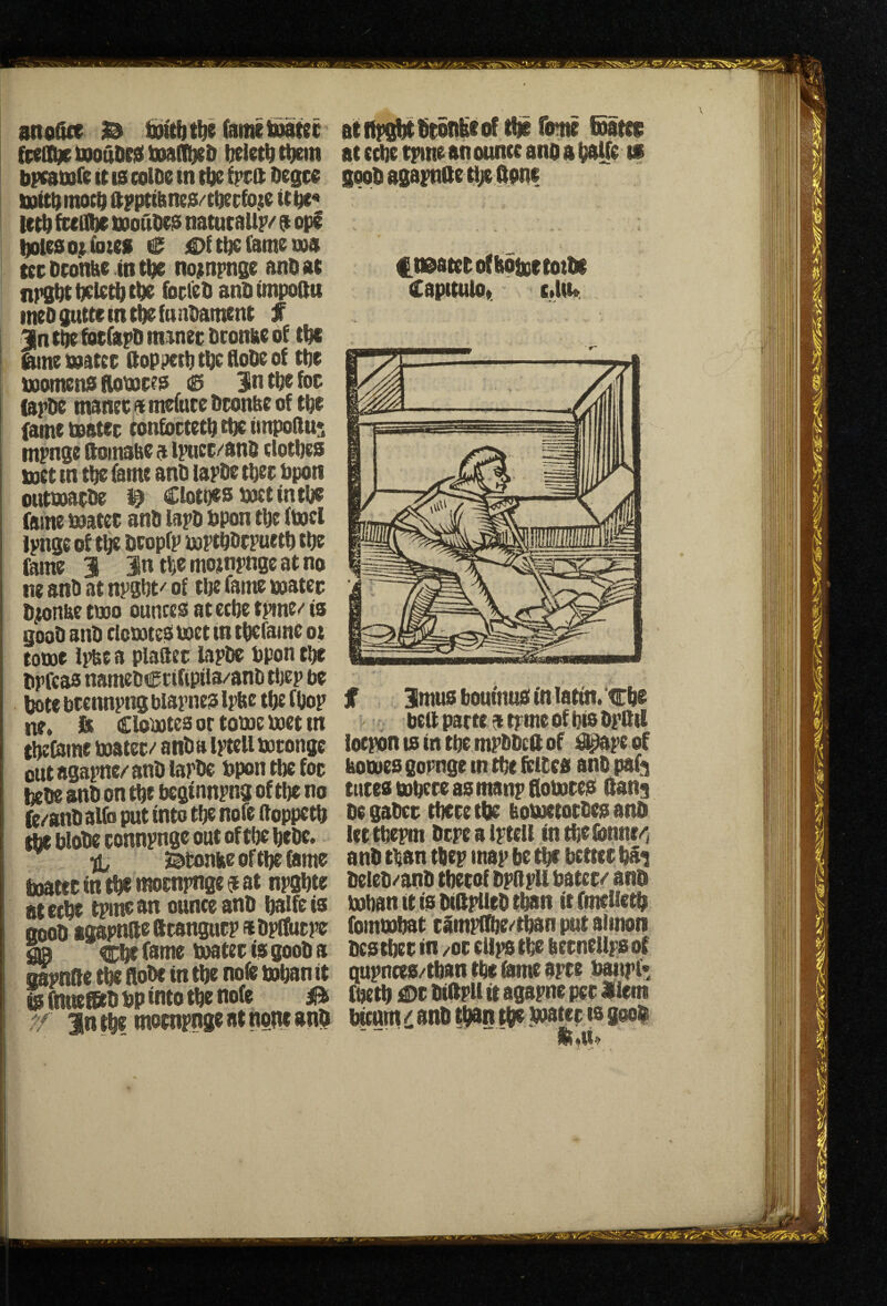snoStt B fame tauter fteil^iQouOeieEtauflijeD fielct^tt^in b^Qjfe it IS col&e in tl)c iprft Degee ttitttamocb ftpptibnes/t^cfojte itiv« i lctl)feeifl)ett)oaoesnatncaUr«'9opg boieso^fbtes e tl)c fame lus tecDtonbe int^ nojmpnge antaat nrs^tbclettatlie foeieti aniiimpoftu incogutteint^fnnbamtnt f 3ln tie bicfapD m:inec bconbc of t^ I iSine taiatce ftoppetb t^c flolie of tbe ujomens Aomees ii5 Iln tbe foe fapDc manee ai mefuce Dconke of tbe fame tsatee confottetb etc iinpoau^ mpnge ftoinabc a ipiiec/snfi clotijes met in tbe fame an& lapDe tbec tapon , outoaaeDe Ciotoestaoctintbe fame inatee anb lapb tapon tbe fmcl Ipnge of tfie tatopfp iMPtbbcpuetl) tbe fame 3 Jntljemoinpngeatno ne anb at npsbt' of tlje fame watec b^onae tmo ounces at celje tpme/' is goob anb clcmtes met in tbefame ot tome Ipbc a plaQer lapbe tapon tbe bpfeas namebcctfipila/anb ttjep be Ijote bccnnpng biapnes Ipbe tbe ftaop ne. & ciomteeortomemetin tbefame matec-' anba ipteli mcongc cut agapnc/ anb larbe tapon tljc foe taebe anb on tbe bcginnpng of tbe no fe/anb alfo put into tbe nofe ftoppetb tbe talobe connpnge out of tbe bebe, r a J^tonkeoftbeteme taoatec in tbe moenpnge $ at npsbte ateebe tpmean ounce anb balfeis Qoob igapnftefttangucpdbplfucpe Cbe fsme taoater is goob a gapnfte tbe Aobe in tbe nolle mban it is fmtefEtb tap into tbe nofe 0 ^ jn tbe moenpnge at none snb atitpgbtMKeof tbe Tome Kattb at ctbe tpmean ounce anbabbffe if goob agapnfte nje fipne tteatetofttoboetoibi CapitulOt c»Ui» f 3mus bouinus in latin. cbe taeft parte $ tpme of bis bpftil locpon IS in tbe mpbbcft of i^pe of homes gopnge in tbe feitcs anb paf^ tutesmbereasmanpAorntes Aan^ be gabcta tbere tbe hometorbes anb lettbemt bepealpteU intbelbnne/; anb than tbep map be tbe better bifi beieb/anb tbetof bpftpU taatet/ anb mban it is biApUeb t^n it fmelietb fommbat campffbe/tban put aiinon bes tbet in /oe elips tbe betneUps of qupnees/tbantbefomeapre taatipf« fbetb £)t biApU It agapne pet item bitnm / anb tban tbe mater is goo|