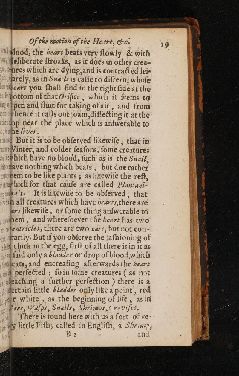 Uliood, the heart beats very flowly. &amp; with ‘feliberate {troaks, as it does in other crea- ‘4, aires which are dyitig,and is contracted leie At ^ rely, as in Sva/1: is eafie to difcern; whofe lbeart you fhali find in the right fide at thé otto of that Ovifice , which it feems to i pen and fhut for taking ofair, and from ilihence it cafts out foam diffe&amp;ing i it at the iib near the place which is anfwerable to 8 v liver. But it ts to be obferved likewife ; that ia “Minter, and colder feafons, fome creatures “fick have rio blood, fuch asis the Suaif, iMiltave noching which beats , but doe rather iter to be like plants; as likewife the reft, d sübhich for that caufe are called Pitan pa’ ss Itislikewifeto be obferved , that it all creatures which have hearts there are wrs likewife, or fome thing anfwerable to (einem , and whereíoever the heart has two jidrarily. But if you obferve the: afhioning of «Aii chick in the egg, firft of all there isin 1t as ii faid only a bladder or drop of blood, which iifeats, and encreafing afterwards the beart lh perfe&amp;ed ; foin fome creatures ( as not wi@paching a further perfection ) there is a yidertaic little bladder only like a point, red wc white , as the beginning of lite, asin wimees, Vafps, Snails, Sbrimos ,« revifes. ud. There is found here with us a fort of ve- ! à Add ith; called in Englifh, a Shrimp, 5 and v lah