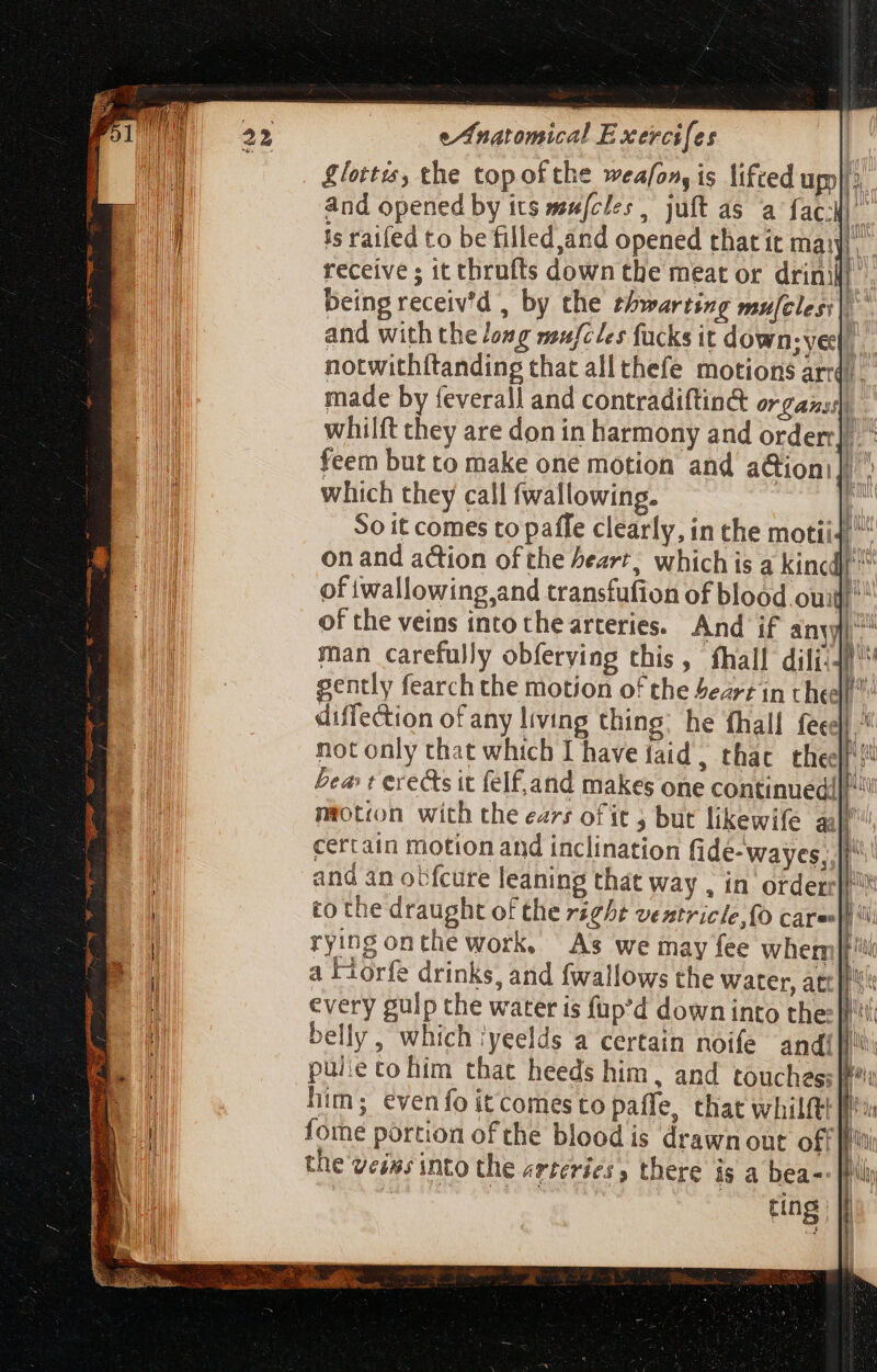 £lottis, the topofthe weafony is lifredum|.. 1 and opened by its mujfcles , juft as a fac: b. is raifed to be filled,and opened that it may. receive ; it thrufts down the meat or drin] being receiv'd , by the thwarting mufcless | and withthe long mufcles fucks it down syech, notwithftanding that allthefe motions arr) made by feverall and contradiftin&amp; organs), whilft they are don in harmony and order] feem but to make one motion and a&amp;ioni] which they call fwallowing. 4 So it comes to paffe clearly, in che motii4 “ on and action of the heart, which is a kincd]  of twallowing,and transfufion of blood oum to the draught of the rying onthe work. As we may fee wher [ri a Fiorfe drinks, and fwallows the water, att every gulp the water is füp'd down into the: Mi belly, which iyeelds a certain noife andi|li: pulie to him that heeds him, and touches; id him; even fo it comes to paffe, that whilftt [ftu fomé portion of the blood is drawnout off the veis; into the arteries» there is a bea-: pili TE ting |
