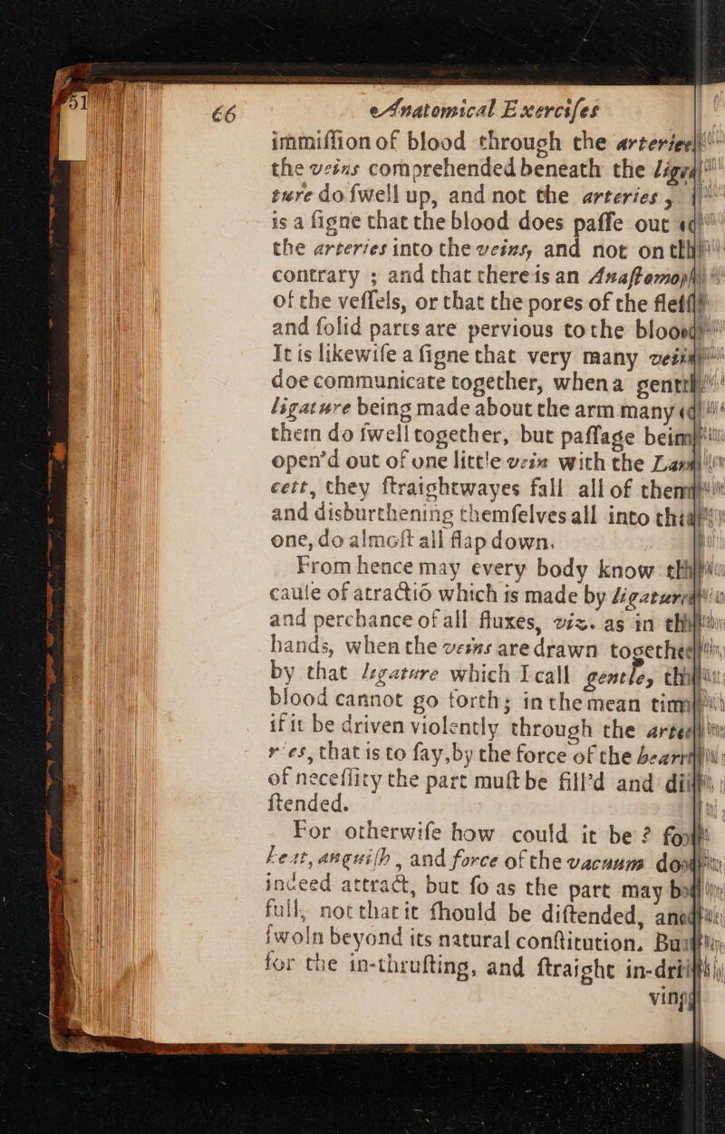 immiffion of blood through the «rteríecli the veins comprehended beneath the Ziggll' ture dofwell up, and not the arteries, |J isa figne that the blood does paffe out «q^ the arteries into the veins, and not on tlli contrary ; and that chereis an Zfsaffemopl of the veffels, or that che pores of the flet(l? and folid parts are pervious tothe blood It is likewife a figne that very many cei doe communicate together, when a gentili ligat ure being made about the arm many «ql them do fwell together, but paffage beim]! open'd out of one little vzz« with the Lana! cett, they ftraightwayes fall all of them! and disburthening themfelves all into cheap) one, do almoft all flap down. | From hence may every body know ebay pic caule of atractió which is made by Ligaturedilt and perchance of all fluxes, viz. as in elio hands, when the vesxs are drawn togethesls by that L;gatere which I call lbi chr blood cannot go forth; inthemean tinm if it be driven violently through the aree *'es, that is to fay by the force of the beartt qh | of neceflity the part muftbe fill'd and: dil ftended. n For otherwife how could it be ? foll Feat, anguilb , and force of the vacuum dont inceed attract, but fo as the part may bo full, not that it fhould be diftended, angl: iwoln beyond its natural conftitution, Buff. for the in-thrufting, and ftraight in-driiflj vinjg