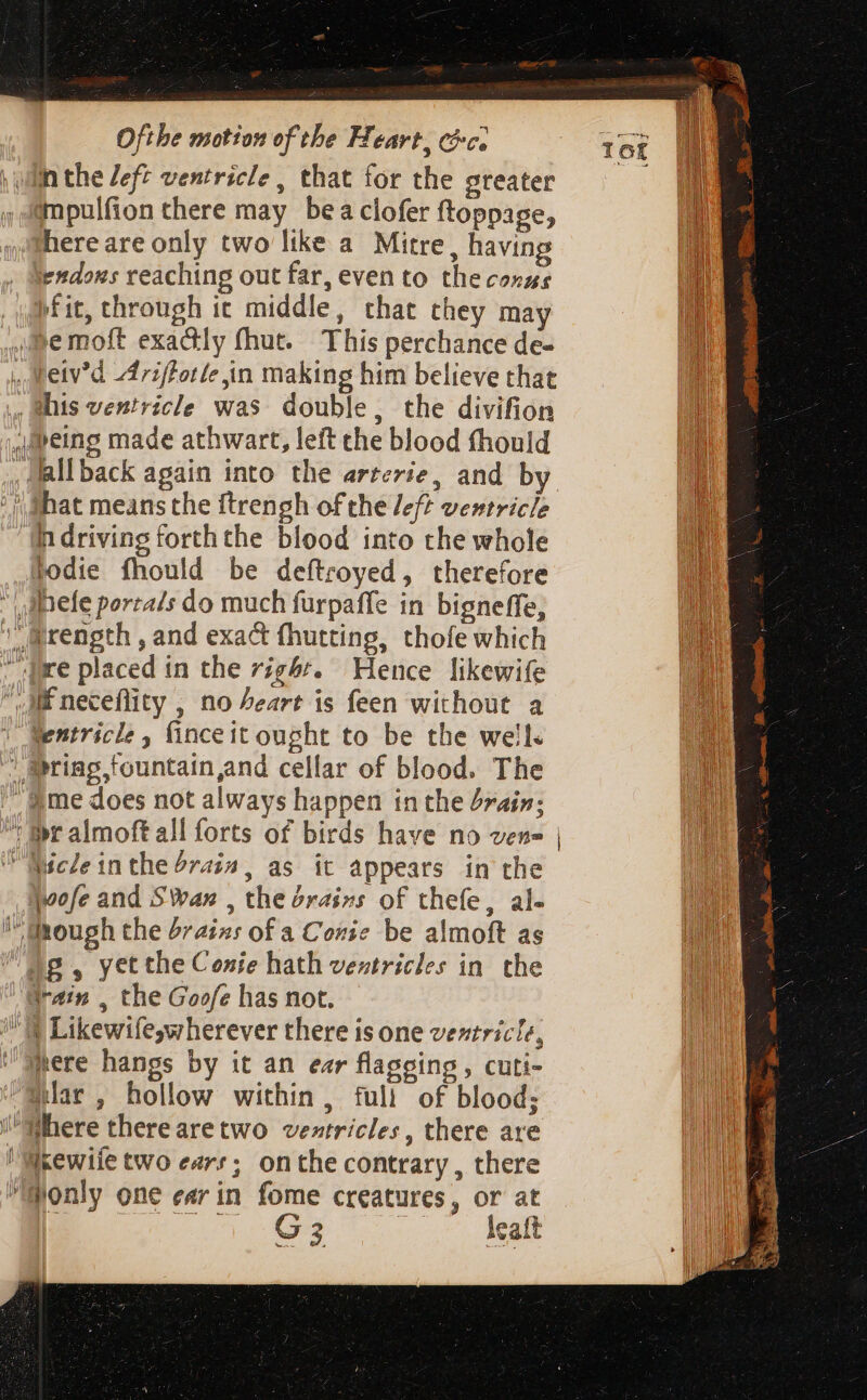 yuan the left ventricle , that for the greater (mpulfion there may bea clofer ftoppage, hereareonly two like a Mitre, havin endous reaching out far, even to the conus pfit, through it middle, that they may ipe moft exactly fhut. This perchance de- , Reiv'd 47i/forle in making him believe that , ais ventricle was double, the divifion Jlpeing made athwart, left che blood fhould , fallback again into the arterie, and by ' hat means the ftrengh of the left ventricle “indriving forth the blood into the whole odie fhould be deftroyed, therefore  helfe portals do much fürpaffe in bigneffe, ' @rength , and exact fhutting, thofe which » mre placed in the right. Hence likewife Mf neceflity , no Zeart is feen without a wentricle, inceit ought to be the wells @ring,tountain,and cellar of blood. The ' game does not always happen in the brain; “ ir almoft all forts of birds have no vene | mcleinthe£ra;», as it appears in the quofe and Swan , the orasns of thefe, al- duough the brains of a Conic be almoft as og, yetthe Conie hath veztricles in. the au train , the Goofe has not. d ^I Likewifeswherever there is one ventricle, V “There hangs by it an ezr flagging , cuti- lar, hollow within, fuli of blood; here therearetwo veztricles, there are 'Wkewife two ears; onthe contrary, there only one ear in fome creatures, or at | JO ae leaft