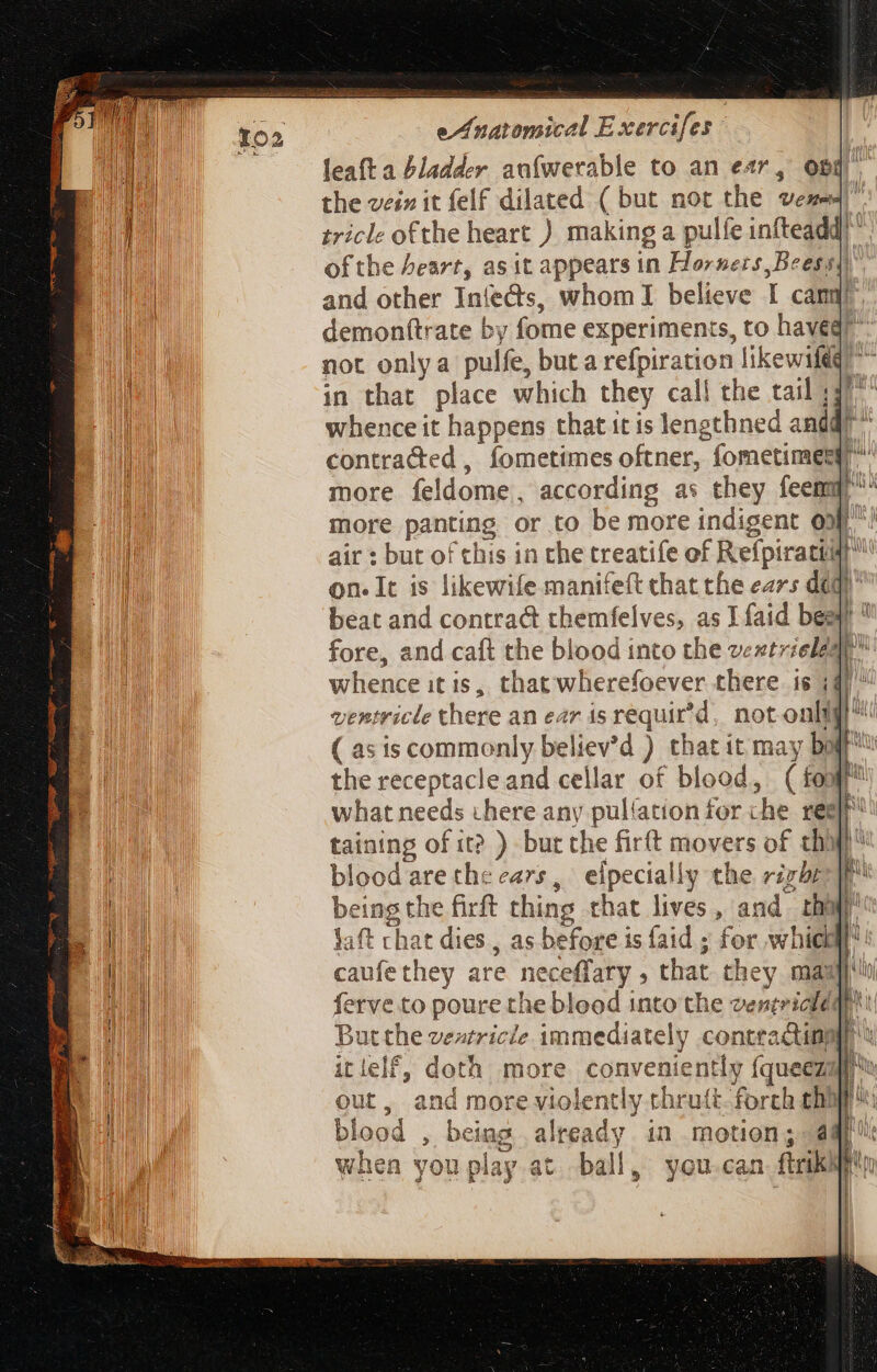 leaft a bladder anfwerable to an ear, ond | the vein it felf dilated ( but not the vere)” tricle ofthe heart ) making a pulfe infteadd! of the heart, as it appears in Horners Beessy) and other Infects, whom I believe I canny demon(trate by fome experiments, to haveq?” not onlya pulfe, but a refpiration likewifeg ^ in that place which they call the tail i3 whence it happens that it is lengthned and! ^ contracted , fometimes oftner, fometimegq more feldome, according as they fem]! ^ more panting or to be more indigent ony”! air : but of chis in the treatife of Refpiratiidr on. It is likewife manifeft chat the ears did! beat and contract themfelves, as Lfaid beay  fore, and caft the blood into the wentrielagh” whence itis, that wherefoever there is (47 being the firft thing that lives, and thay Jaft chat dies , as before is faid ; for whiek caufethey are neceffary , that they maa! ferve to poure the blood into the vensrichddh! Butthe vextricle immediately contracting itielf, doth more conveniently fqueeza out, and more violently thruft. forch cha) blood , being already in motion; agp i when you play. at ball, you.can ftri
