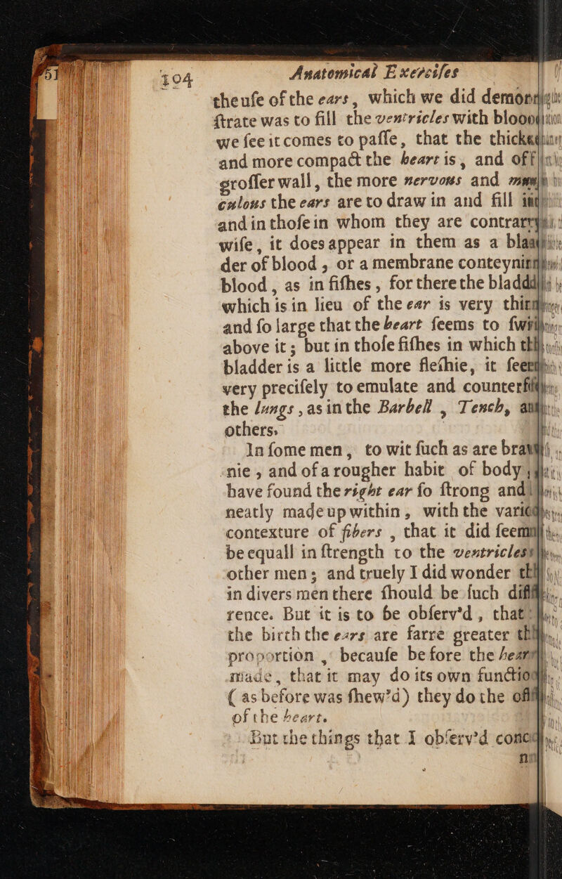 theufe of the ears, which we did demonsimiit ftrate was to fill the ventricles with blooog) iu we feeitcomes to paffe, that the tchickequu and more compact the heart is, and offi eroffer wall, the more servous and meh } cnlous the ears are to draw in and fill iiij andinthofein whom they are contrarrpu.: wife, it doesappear in them as a blaajji, der of blood , or a membrane conteyning}i); blood , as in fifhes , for there the bladdd}j; which isin lieu of the ear is very third dy, and fo large that the beart feems to {wiih above it; but in thole fithes in which thi} yy bladder is a little more fleíhie, it feerihy: very precifely to emulate and counterfit).:. the /ungs , as in the Barbell , Tench, au others. 1 Infome men, to wit fuch as are brawl . nie, and ofa rougher habie of body dii have found the right ear fo ftrong andi] neatly madeup within, with the varied), contexture of fibers , that it did feemnja. be equall in ftrength to the ventricles)», other men; and truely I did wonder thi, in divers men there fhould be fuch défi}, rence. But it is to be obferv'd , that]. the birth the ezzs are farre greater th}, proportion ,' becaufe before the heart), made, that it may do its own fundiog),,. ( as before was fhew'd) they do the off}, of the ^eart. nz