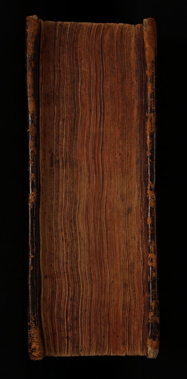 digitised image 3