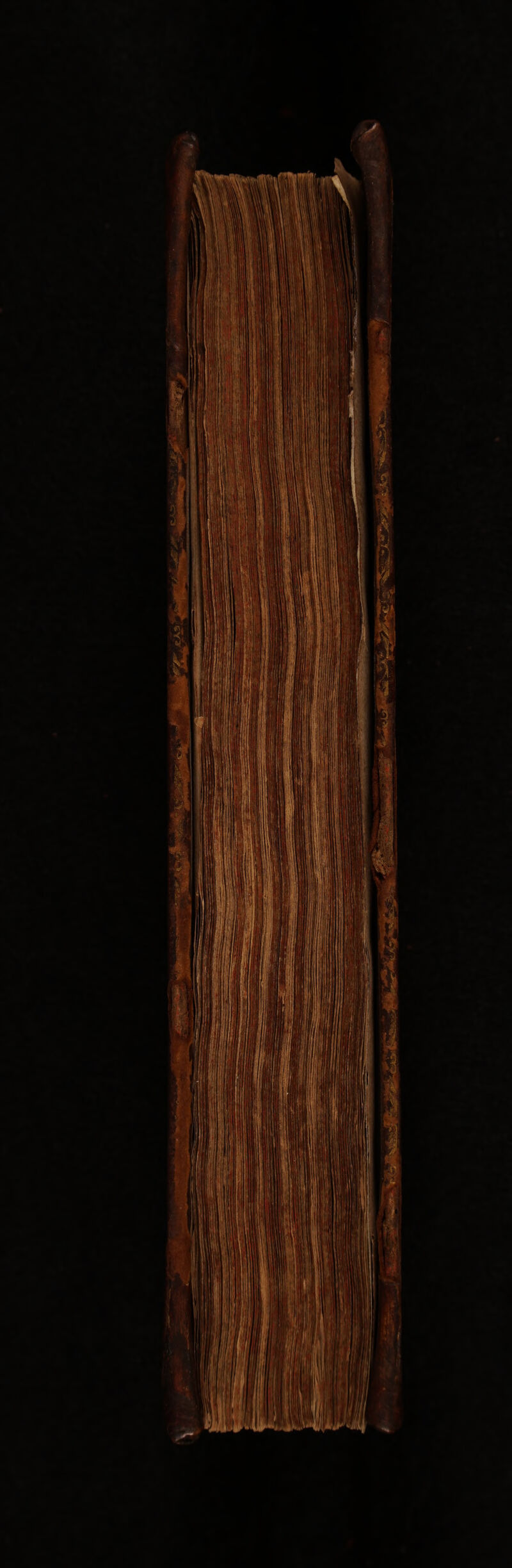 No text description is available for this image