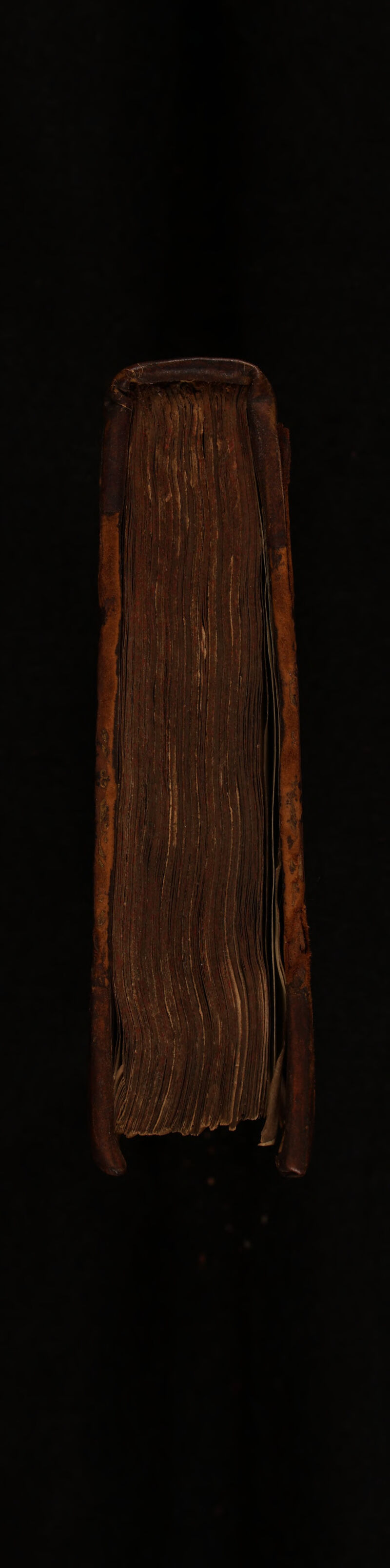 No text description is available for this image