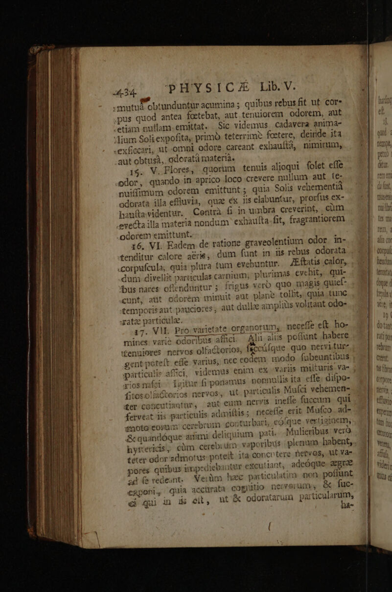 mutus obtunduntur acumina ; quibus rebus fit ut cor- pu us ide antea foetebat, aut tenuiorem odorem, auf .etiam nullam. emittat. . Sic videmus cadavera anima- :Yium Soli expofita; pr imo teterrime fcetere, deinde ita .exficcari, ut -.omni odore careant exbauítà, nimirum, aut obtusà, odoratà materia. 15. V. Flores, quorum tenuis alioqui folet effe odor, quando in aprico loco crevere nullum aut íe- nuiffimum odorem emittunt ; quia Solis vehementia illa efluvia, quae ex 1s elabuntur, pr orfus ex- odorata haufta videntur. Centrà ek in umbra creverint, cum evecta illa materia nondum hauíta-fit, fragrantiorem 16. VI. Eadem de ratione graveolentium odor. in- tenditur calore arie, dum funt in iis rebus. odorata «corpufcula; quia plura tum eve buntur. Bfstis calor, Jiu bus nares Qi Ecnduntur 3 frig! us vero quo. magis quief- cunt, aüt oGorem H y3nuit aut plant Te toibt, quia tuac aut it dullie e ami piius^ volitant odo- tempc ris aut pauciores ; xata particula. 17. VIE. Pro: va rietate organorum; neceffe e(t. ho- mines: varie odoribus aficl. Ai a alus poffunt habere £enulores nervos olfactorios, f&amp;cüíque wn nervitur^ effe varius, nec eodem. modo fubeuntibus gc ent Ibit t dos ít faci drame enim ex variis miliuris và- parti icutis afe yios nafci vfi ponamus nonnullis ita. effe. difpo- fitoso listos nervos, ut particulis ] Muíci vehemens eum nervis inefle fuccum qui nifis; neceffe erit Mufco ad- 40oto coru cerebru m co. (qu je vert12] nem, &amp; quandóque adimi deliquium | pa Muli icribus verQ hyttericis, cüm cerebium. vapc irs plenum. habent, téter odor zdmotus poteit t ita conccotere netvos,; ut va- pores quibus impe diebautur excutiant, adeoque. aegra? n nen poflunt zd (eredeunt. Wei üm bo: particu! atii C31 ili » &amp; fuc- &amp;er cencuti i d ur. aut fervéat iis particulis adi n^n £53vl3 ird 3 3&amp;6 LE UU i, CERDO s cjuia. iccürata cogi itio nerv $ uu | nt'&amp; odoratarum particularum, ei qui in i$ ei, hàá- — — - iviilp t