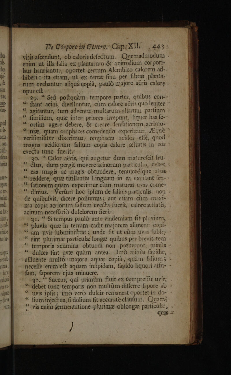 D it a Wi vitis afcendunt, ob caloris defectum. Quemadmodum : enim ut illa falia ex plantarum &amp;' animalium corport- bus hauriantur, oportet certum Alembico calorem ad- hiberi:-ita etiam, ut ex terrae finu per fibras planta- run evehantur. aliquá copiá, paulo majore aéris calore - opus eft 29. * Sed poftquàm tempore partes, quibus cone:  ftant acini, divelluntur, cüm celore aeris quo leniter . agitantur, tum adventu -multarum.aliarum partium fimilium, qu inter priores irrepunt, liquet has fe- orfim agere debere, &amp; creare. fenfationern. acrimo- nie, quam orbphaces comederido. experimur. | ZEc verifimiliter dixerimus; omphaces acidos .effé, quo magna acidiorum falium copia calore aeítatis in. cos evecta tune. fuerit. 39. '* Calor aeris, qui augetur dum maturefcit fi *-Ctus, dum pergit movere acinorum particulas, eas magis ac magis obtundere, tenuioréíque reddere; quze titillantes Linguam in. ea. excitant fen- fationem quam experimur cüm mafturas uvas come- ec * pint plurimae particulae longz? quibus per brevitatem temporis acamina obtundi non potuerunt, minüs * dulces fint uve quàm antea. Imó mipuüs fapidze, affluente multo 'majore aqua copii, quim falium 5 neceffe enim eft aquam infipidam, fapido liquori aftu- fam, faporem ejus minuere. 32..** Succus, qui primüm fluit ex compre'lts uvis; *debet tunc temporis non multüm differre fapore ab * uvis ipfis; imo vero. dulcis remaneat oportet in do- liam injectus, fi dolium fit accurate claufum. (Quam; *: -vis enim fermentatione -plurimae-oblongae particula, . quge 2 €,