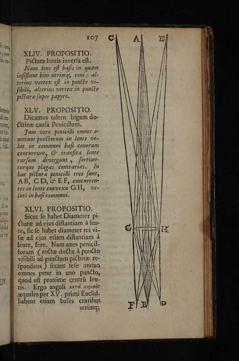 ii i. XLIV. PROPOSITIO. Pictura lentis invería eft. Nam lens eft bafis in quam znfiftlunt bins utrimqy comi: al- zerius vertex eft in puutlo vi- Ó C&amp;[ Quum, n 1 qud ; Ili li | | XLV. PROPOSITIO. Dicamus talem bigam do- Grinz caufa Penicillum. gam vero, penicillz omnes o- amnium pustborum in lente ve- lut im communi bafi conorum concurrunt, €* tranfita lente vur[um | divergunt 4 — fortium- turque plagas contrarias. In XLVI. PROPOSITIO. Sicut fe habet Diameter pi- cturz ad ejus diftantiam à len- fz ad ejus etiam diftantiam à lente, fere, Nam axes penicil- lorum ( recte ducte à puncto vifibili ad punctum picture re- Ípondens ) fecant lefe mutuo omnes pene in uno puncto, quod eft proxime centrü len- tis. . Ergo anguli urb xoguonv aequales per XV. primi Euclid. habent etiam bafes cruribus lec | mtrimq;