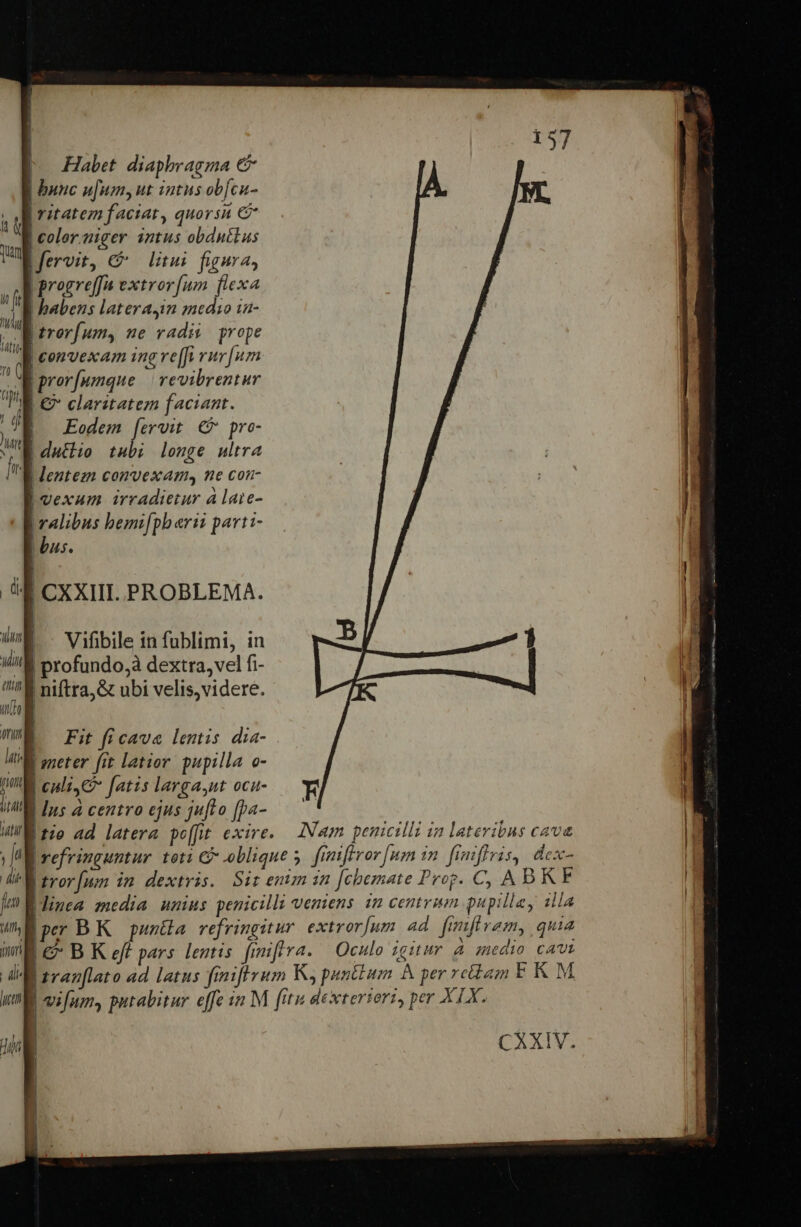 Habet. diaphragma €x | bunc u[um, ut intus obf[cu- | ritatem faciat, quorsn €&amp; | color.uiger intus obdntlus fervit, €&amp; litui figura, | progreffa extror[um flexa Lhabens lateraqin medio ia- Ltrorfum, ne radii prope Ja convescam ing ve[ft rur [um a prorfwmque | revibrentur | € claritatem faciant. |. Eodem [ervit. € pro- | dutlio tubi longe ultra W entezn convexam, ne con- | vexum irradietur à laie- ralibus bemifpb arii parti- | bus. 4 cxxim. PROBLEMA. un | ^ Vifibile in fublimi, in Win | profundo,à dextra, vel fi- 8 niftra,&amp; ubi velis, videre. uto WE ^ Fitficava lentis dia- lit poneter [it latior. pupilla o- WW. culi c? fatis larga,nt ocu- iL B Jus à centro ejus jufto [pa- idt | 120 ad latera poffit. exire. Iam penicilli ia lateribus cave |, [ vefringuntur. teti Cb oblique ; fiiftror [um in. finiflris, dex- dcl tror [un in dextris. Si enm in [chemate Prop. C, ABK F | É-Hinea media unius penicilli veniens. im centri pupilla, illa uper B K punüla refringitur. extrorjum ad. fumftvam, quia m c- BKoef pars lentis finiftra. | Qculo igitur à medio cai d E zranflato ad latus frnifivum K, punélum &amp; per rcdam F K M. | | M M da og ffe inM fitu dtxtertort, per be o CXXIV.