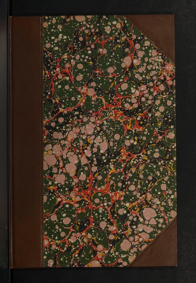 digitised image 1
