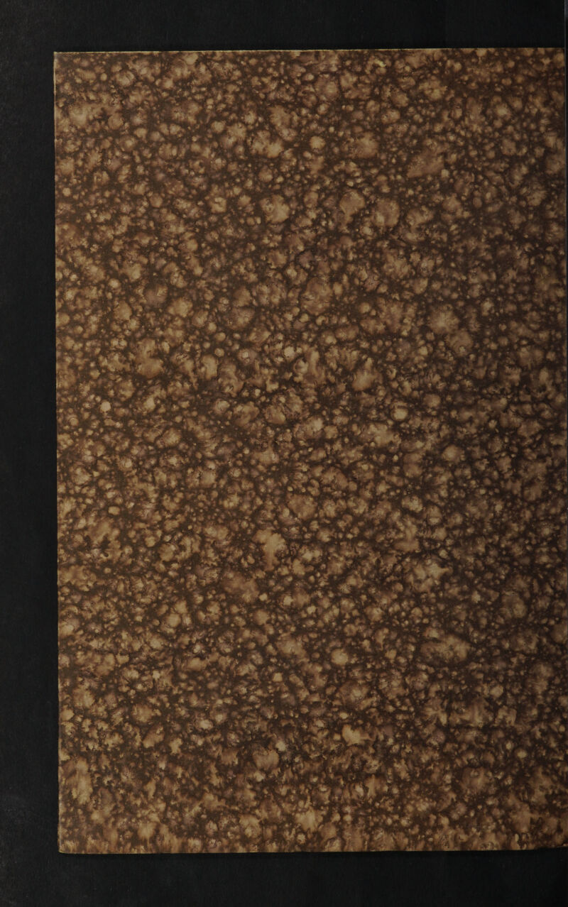 V ^ -.4- ■■ ( ^ ^ • « « »' » -■« 'V ■ ^^-' «■ tJpV- ^ f*! - - ■*- - *'• * . h is», - •*