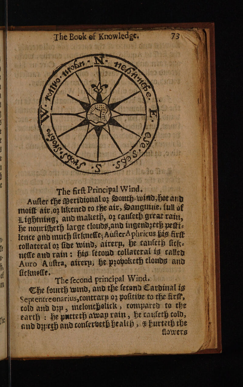 ‘The fir Principal Wind. Aufter the Merivionalnz South-wietd; hot and Moi aiv,or lkened to the atv, SHanguiue, tull of Lightning, ard tiaketh, 02 canleth great rans, He nonvitherh large clouds,and tagendeech pests- rollateral o2 fine wind, atrerp, de cauleth fick: nee andrain: his feroud collateral ig catlen Auro Auftra, aiverp; He progolteth clouds and ficknetie, The fecond principal Wind. THe fourth wind, aud the econd Cardinal is Septentreenarius,contrarp 02 pofitive to the frit, cold and dp, melonchelick, compared to the earth ; be patteth atwap rain, be cauteth cold, and dyperh and conferberh Health ».€ cartes the owers