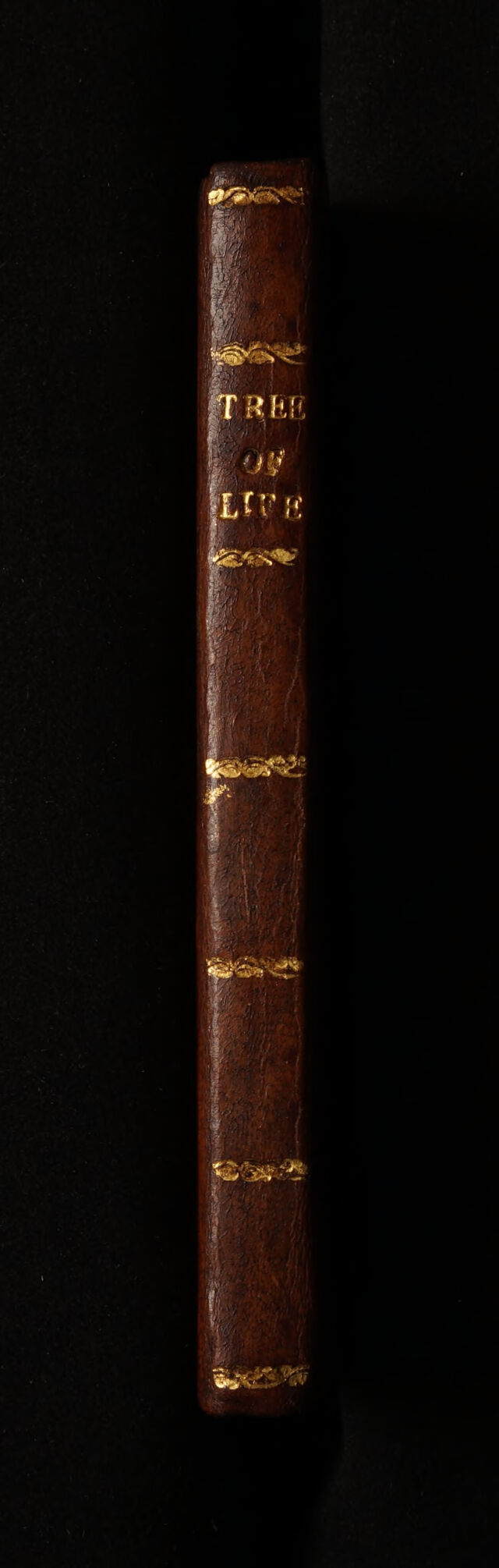 digitised image 2