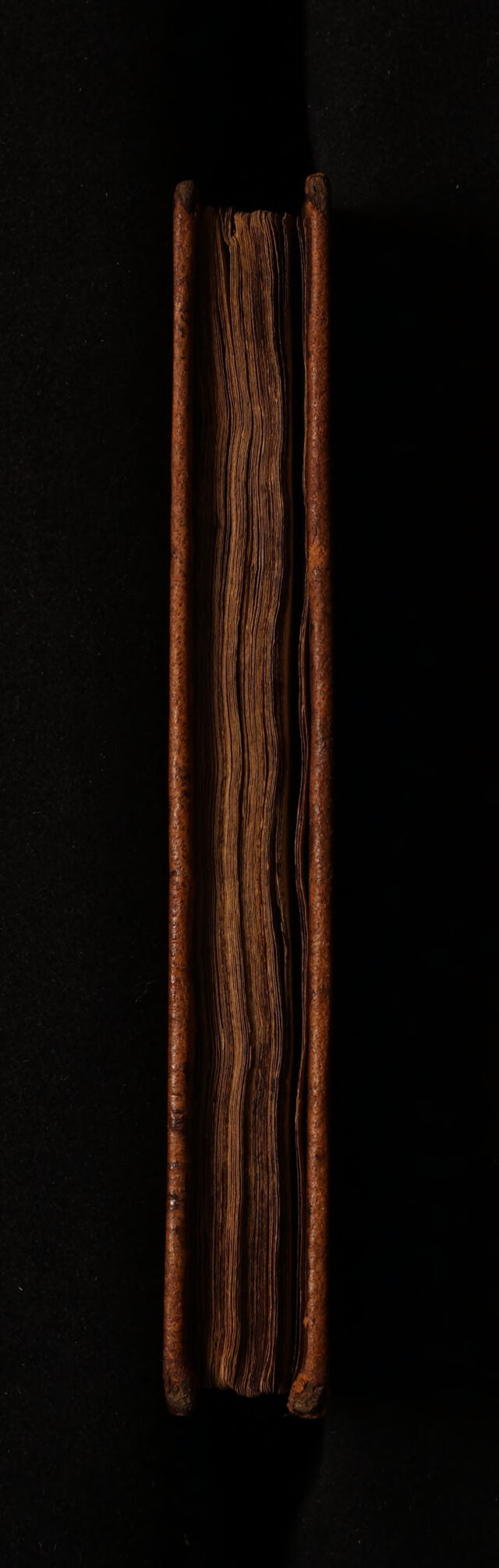 digitised image 3