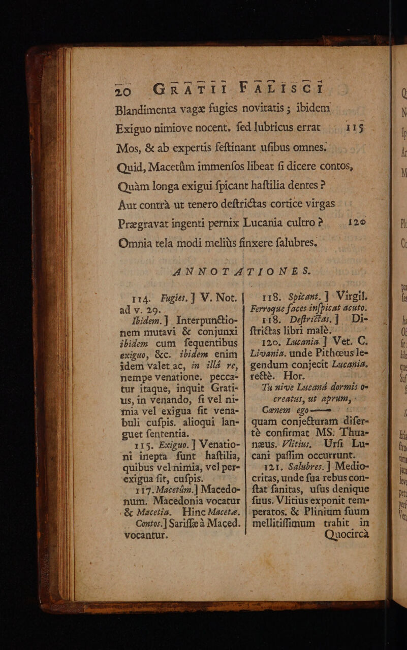 11$ 120 114. Fugies. ] V. Not. | ad v. 29. Ibidem.] | IÉnterpunctio- nem mutavi &amp; conjunxi ibidem cum fequentibus exiguo, &amp;c. ibidem enim idem valetac, im Z4 ve, nempe venatione. pecca- tur itaque, inquit Grati- us,in vénando, fi vel ni- fia vel exigua fit vena- buli cufpis. alioqui. lan- cuet fententia. 115. Exiguo.] Venatio- ni inepta funt haftilia, quibus velnimia, vel per- exigua fit, cufpis. 117. Macetáüm.] Macedo- num. Macedonia vocatur &amp; Macetia. Hinc Macete. Contos.] Sariffe à Maced. vocantur. r18. Spicant. ] : Virgil. Ferrvoque faces infpicat acuto. i19. Defiriéias,]. .Di- ftriCtas libri male. 120. Lucania.] Vet. C. Livania. unde Pithoeusle- gendum conjecit Lucania. recté. Hor. Tu nive Lucand dormis o- creatus, ut. aprum, - Caneu ego—— quam conje&amp;turam difer- té confirmat MS; 'Thua- neus. Plti. .Urf Lu- cani paffim occurrunt. 121. Salubres. ] Medio- critas, unde fua rebus con- ftat fanitas, ufus denique fuus. Vlitius exponit tem- peratos. &amp; Plinium fuum mellitiffumum trahit. in Quocircà