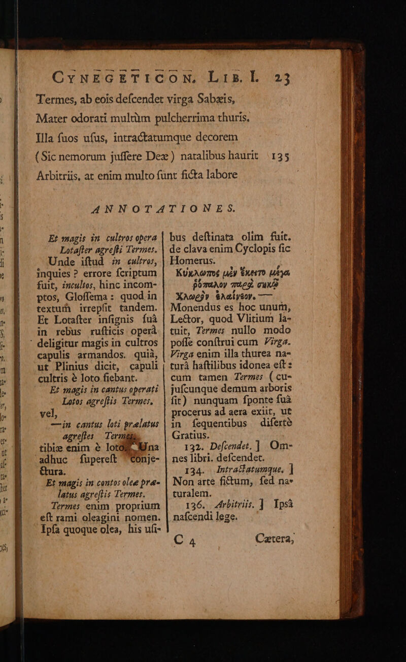 Et vagis im cultros opera Lotafler agrefli Termes. Unde iftud :;» «ultros, inquies ? errore fcriptum fuit, incultos, hinc incom- ptos, Gloffema : quod in textui irrepfit tandem. Et Lotafter infignis fuà in rebus rufticis. operà ' deligitur magis in. cultros capulis armandos. quià, ut Plinius dicit, capuli cultris &amp; loto fiebant. Et magis in cantus operati Lotos agre[flis Termes, vel, —in cantus loti prelatus agreftes — Tevmgga tibie enim &amp; loto na adhuc fupereft Conje- Gura. Et magis in centos olee pre latus agreftis Termes. Termes enim proprium eft rami oleagint nomen. Ipfa quoque olea, his ufi- bus deftinata olim fuit. de clava enim Cyclopis fic Homerus. KUxAcm6 uey ExerTo uy po7uAoy 7g, quce XAogg» $Aaiys0y. — Monendus es hoc unum, Le&amp;or, quod Vlitium 1la- tuit, Termes nullo modo poffe conftrui cum 7rzz. Virga enim illa thurea na- turá haftilibus idonea eft: cum tamen Zee: (cu- jufcunque demum arboris fit) nunquam fponte fuà procerus ad aera exiit, ut in fequentibus diferte Gratius. | 132. Defcendet. ]. Om nes libri. defcendet. 134. Intraflatumque. ] Non árte fi£tum, fed na* turalem. 126. rbitriis. ] Tpsà nafcendi lege. C 4 Caetera,