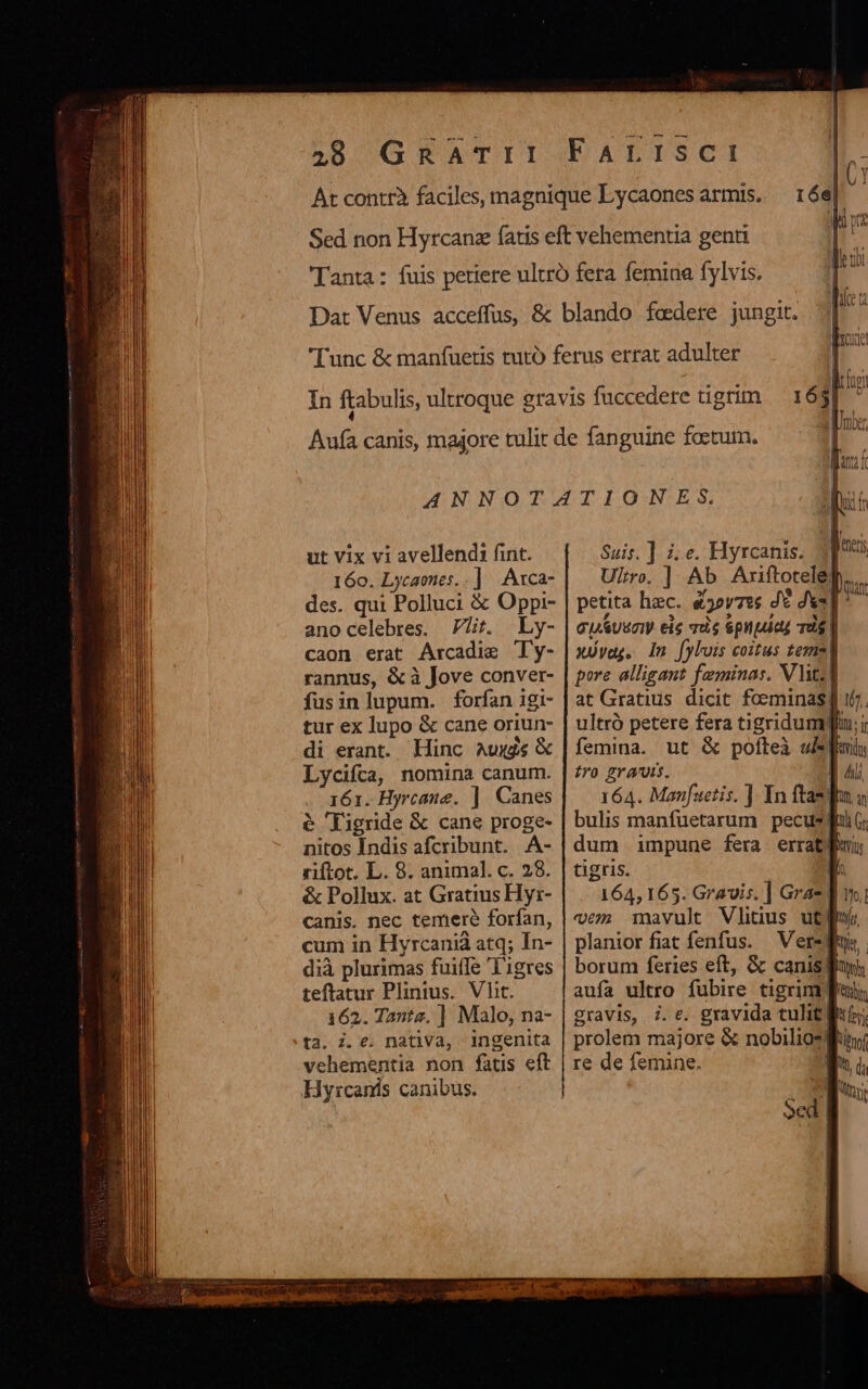 ut vix vi avellendi fint. 160. Lycaones. | Asca- des. qui Polluci &amp; Oppi- ano celebres. 77. Ly- caon erat Arcadie Ty- rannus, &amp; à Jove conver- fusin lupum. forfan igi- tur ex lupo &amp; cane oriun- di erant. Hinc AUxdis x Lyciíca, nomina canum. 161. Hyrcane. ] Canes e ligride &amp; cane proge- nitos Indis afcribunt..A- riftot. L. 8. animal. c. 28. &amp; Pollux. at Gratius Hyr- canis. nec temere forfan, cum in Hy rcanià atq; In- dià plurimas fuiffe Tigres teftatur Plinius. Vb. 162. Tante, | Malo, na- ta. i. e. nativa, ingenita vehementia non fatis eft Hy:rcanis canibus. — Teile t Suis. ] i; e. Hyrcanis. 5 Ultro. ] Ab Axiftotele| xóvag, du fylois coitus texus| pore alligant feminas. V lat: | ultró petere fera ti VE femina. tro grauis. tigris. 164, 165. Gravis. ] Gras: planior fiat fenfus. borum feries eft, &amp; canis] aufa ultro fubire tigrim. gravis, 7. e. gravida tulit| [m re de femine.
