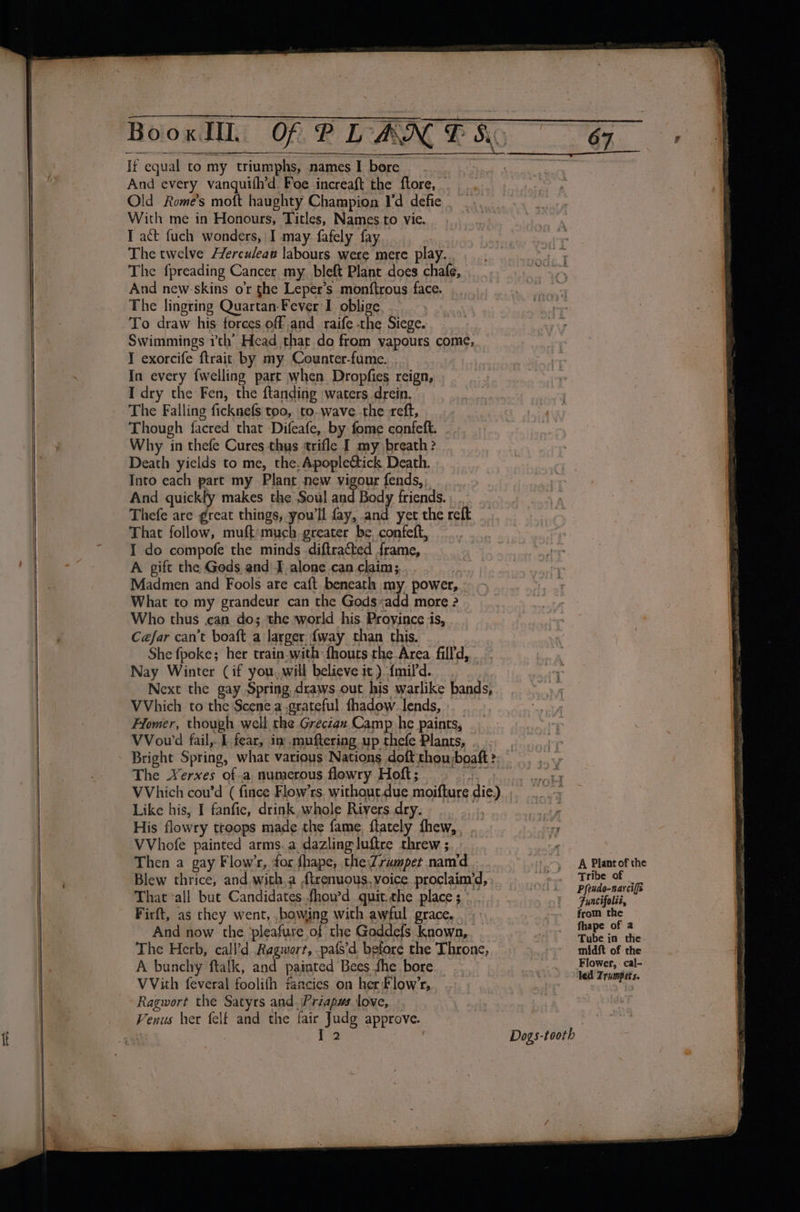 And every vanquifh’d, Foe increaft the ftore, Old Rome’s moft haughty Champion I'd defie With me in Honours, Titles, Names.to vie. I act fuch wonders, I may. fafely fay The twelve Herculeaw labours were mere play. The fpreading Cancer my. bleft Plant does chafe, And new-skins o'r the Leper’s monftrous face. The lingring Quartan-Fever I oblige To draw his forces off and_ raife the Siege. Swimmings 7th’ Head thar do from vapours come, I exorcife ftrait by my Counter-fume. | In every {welling part when Dropfies reign, I dry the Fen, the ftanding waters drein. The Falling ficknefs too, to. wave. the reft, Though facred that -Difeafe, by fome confeft. - Why in thefe Cures thus trifle I my breath? Death yields to me, the. Apopleétick Death. Into each part my Plant new vigour fends, And quickly makes the Soul and Body friends. |. Thefe are great things, you'll fay, and yet the reft That follow, muft/much. greater be, confeft, I do compofe the minds diftracted frame, A gift the Gods and [alone can claim; ; Madmen and Fools are caft beneath my power, What to my grandeur can the Gods &lt;add more ? Who thus .can dos the world his Proyince is, Cafar can’t boaft a larger {way than this. She fpoke; her train-with fhouts the Area filld, Nay Winter (if you, awill believe it) {mild. . Next the gay Spring draws out his warlike bands, VVhich to the Scene a.grateful fhadow lends, Flomer, though well the Grectan Camp he paints, Bright Spring, what various Nations doft thou;boaft? The Yerxes of-a numerous flowry Hoft; Se Like his, I fanfie, drink whole Rivers dry. | His flowry troops made the fame. flately fhew,, . VVhofe painted arms. a dazling luftre threw ; Then a gay Flow’r, for fhape, the Zrampet namd Firft, as they went, .bowing with awful grace. And now the ‘pleafure of the Goddefs known, The Herb, call’d Ragwort, -pafs’d before the Throne, A bunchy ftalk, and painted Bees fhe bore VVith feveral foolifh fancies on her Flow’r, Ragwort the Satyrs and. Priapws love, Venus her felf and the fair Judg approve. . Rakes I 2 | A Plant of the Tribe of Pfeudo-narciffs Funcifoléz, from the fhape of 2 Tube in the midft of the