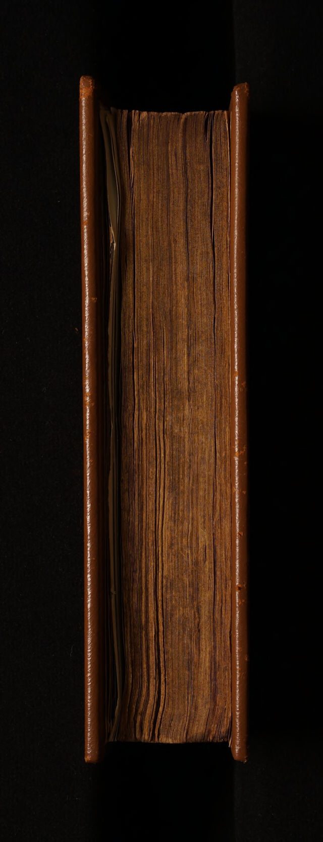 digitised image 3