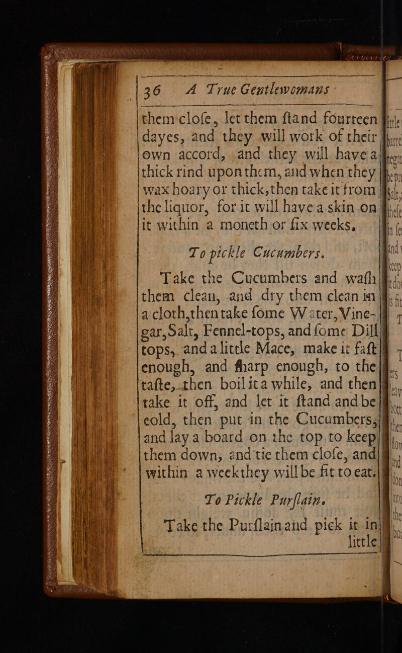 ities aa an jdayes, and they will work of their Ihre own accord, and they will havea jthick rind uponthem, and when they |.» | wax hoary or thick, then take it from jij. ithe liquor, for it will havea skin on it within a moneth or fix weeks. jh, ¢ To pickle Cucumbers. Take the Cucumbers and wafljf,;, them clean, and dry them clean in jf}, a cloth,thentake fome W ater, Vine- |} ear, Salt, Fennel-tops, and fome Dill] tops, and alittle Mace, make it faft]| enough, and fharp enough, to the/ff., tafte,.then boilita while, and then|§, take it off, and let it ftand andbejf.,, cold, then put in the Cucumbers,}i), and lay.a board on the top,to keepjfl) them down, and tie them clofe, and|@, , within a weekthey willbe fit to eat.) To Pickle Purflain. Take the Purflainand pick it inj,’ littlejima i | | | i |