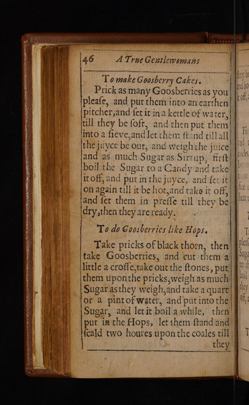 ‘To make Goosberry Cakes, Prick as many Goosberrics as you} | pleafe, and pur them into an earthen|| pitcher,and {et it ina kettle of water,| | till they be foft, and then put them|] into a fieve,and let them {tand till all cocks, and { I fade Hike Pic t leyareready. } ae A | oe Peta ile ; im 1 To do Goosberrics like Hops. i ‘| | 4 ° | anf ay Take pricks of black thorn, then) ii : take Goosberries, and cut them a} 9 Wey little a croffe,take out the ftones, put} gM i) jthem uponthe pricks,weigh as much}! a : He i) | Sugarasthey weigh,andtake a quart) A Wie, §=jOr 4 pintof water, and putintoche |g! Hiei, =| Sugar, and letit boila while, then’ rt hi) o7? . | vA, @ |put inthe Hops, let them ftandand)§ RT el : i yi Mie, \fcald two houres uponthe coales till |) |