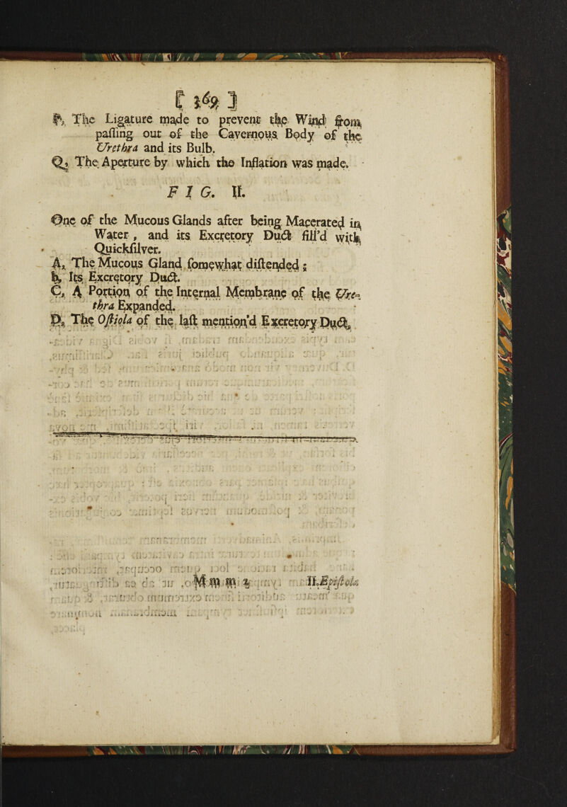 '*? *—-J IS. The Ligature made to prevent Wm^! £0^ palling out of the Cavernous. Body of the Urethra and its Bulb. Q, The Aperture by which the Inflation was made. - FIG, Water, and its Excretory Dud fill’d with Quickfilver. At The Mucous Gland fomewhat diftended; b, Its, Excretory Dud. v>. thra Expanded. ft '4a • U‘ / Y *? B1 81 - • A A.J 1 rn r i oik- ' • r *5 f : i ij lit ‘ j +•-. 0 | j w' ••; mi;.. »rr ; 2 A.. '■ l />*»•,/» • « t • * . i . i. ' j ‘ r r • ^ ■'V. vr* ; ‘i'.ji - - * l ^ i J X A II v. ■a; v > ■ ■ ■ t rn; n: ** y . . ' v . 4 1 ! ~-~i _ !'i w**. :• • * r>! i+j '• / -*■ * ** y . T ~.c - * - i 1 . to [ A C ,y- r ‘ ^ 1 i ti ; .J • idf;i . V., t A* ti * . .j”., • . e J *lis »V. i •. *.l • * JJ j . m -1 • r,;rii ^pqucoo msr-; i >ol l n j ,vJ- ■ ; . c'-, sir ,■ $6 ffl ffl % '• .iSlMfifte, • _ i . i r;.. : : i -ri:: : .- si .- ■* J.r'i '