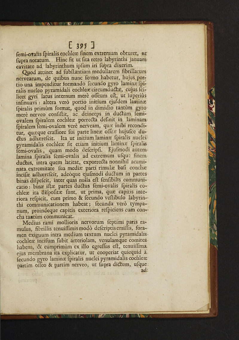 femi-ovalis fpiralis cochleae finem extremum obturet, ut fupra notatum. Hinc fit ut fita retro labyrinthi januam cavitate ad labyrinthum ipfum iri fupra dixerim. Quod attinet ad fubftantiam medullarem fibrillarum nervearum, de quibus nunc fermo habetur, hujus por- tio una impenditur formando fecundo gyro laminae fpi¬ ralis nucleo pyramidali cochleae circumdudae, cujus fei- licet gyri latus internum mere ofleum eft, ut fuperius infinuavi : altera vero portio initium ejufdem laminar fpiralis primum format, quod in dimidio tantum gyro > mere nerveo confiftit, ac deinceps in dudum femi- ovalem fpiralem cochleae porreda definit in laminam fpiralem femi-ovalem vere nerveam, qua: inibi recondi- tur, quaeque cralliore fui parte lineae oiler hujufee du- dus adhaerefeit. Ita ut initium laminae fpiralis nuclei pyramidalis cochleae fit etiam initium laminae fpiralis femi-ovalis, quam modo deferipfi. Ejufmodi autem lamina fpiralis femi-ovalis ad extremum ufque finem dudus, intra quern latitat, exporreda nonnihil acumi¬ nata extremitate fua mediae parti rimulae bafi conchae incifae adhaerefeit, adeoque ejufmodi dudum in partes binas difpefeit, inter quas nulla eft fenfibihs commiuni- catio: binae iftae partes dudus femi-ovalis fpiralis co¬ chleae ita difpofitae funt, ut prima, quae capitis inte- riora refpicit, cum primo & fecundo veftibulo labyrin¬ thi communicationem habeat; fecunda vero tympa¬ num, proindeque capitis exteriora refpiciens cum con¬ cha taatum communicat. Medius rami mollioris nervorum feptimi paris ra- mulus, fibrillis tenuiflimis modo deferiptisemilfis, fora¬ men exiguum intra medium textum nuclei pyramidalis - cochleae incifum fubit arteriolam, venulamque comites habens, & cumprimum ex illo egreflus eft, tenuiftima ejus membrana ita explicatur, ut cooperiat quicquid a fecundo gyro laminae fpiralis nuclei pyramidalis cochleae partim ofieo & partim nerveo, ut fupra didum, ufque
