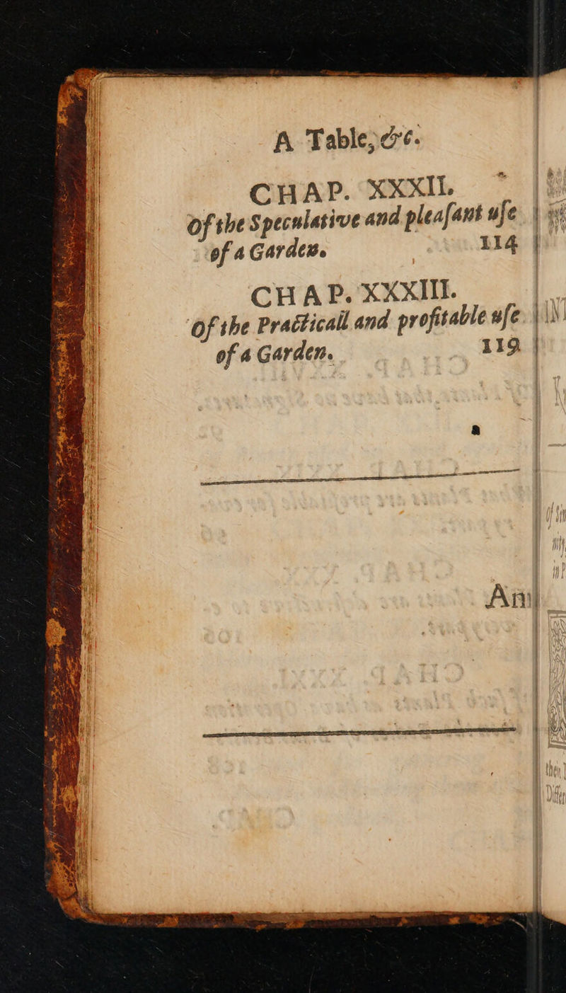 A Tablepcé. CHAP. XXXIL of the Speculative and pleafant ufe | i of 4 Gardcs. | 114 | CHAP. XXXII. of the Practicall and profitable wfe. |. of a Garden. 119. |
