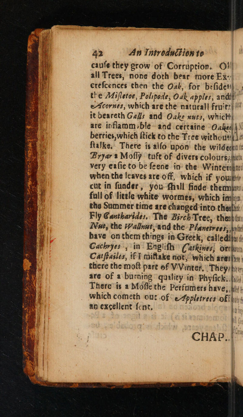 42 An Introduction to caufe they grow of Corruption. Ot!) all Trees, none doth bear more Ex: crefcences chen the Ozk, for befidet'|,. , the Aifletoe, Polipede, Oak apples, andi” eAcornes, which are the natarall froier| it beareth Gals and Oke wuts, which are inflammsble and certaine Oxked\\ * berries,which ftick to the Tree withous)) 4 ftalke,. There is aifo upon the wilde th Bryara Mofly tufe of divers colours, pubs very eafie to be feene in the Winrenhai when the leaves are off, which if you cut in funder, you-fhall fiade themmr. full of ‘little white wormes, which imlwn the Summer time are changed into theeiti: Fly @antharides. The Birch Tree, thesb ty Wee, the Wallnut,and the Planetrees: \l have onthem things in-Greek, calledidiy Cachryes, in Englith Catkines, orth Catfiasles, 1 miftake not, which aren there the moft pare of VVinter. They) tin are of a burning quality in’ Phyfick:.ty)i/ There ts a Moffethe Perfomers have, bl) which cometh our of: efppletrecs off |i an excellent fenr, Lib