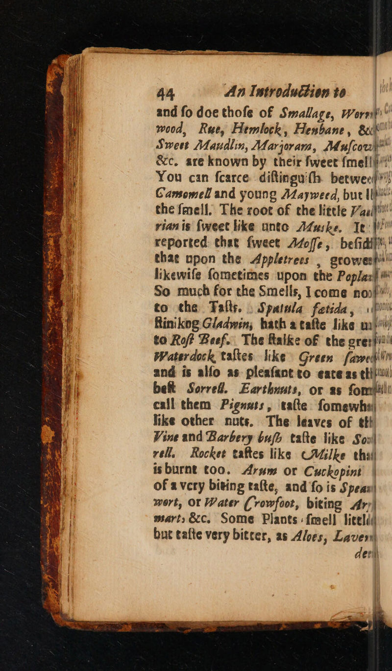 44 An Introduction to and fo doe thofe of Smallage, Worn?) wood, Rue, Hemlock, Henbane, &xt Sweet Maudlin, Marjoram, Mufcoul &c, are known by their fweet {mellii/!' You can fcarce diftinguith betwerd'! Gamsomell and young AMayweed, but Il} the fmell. The root of the little 7aui}' rian is {weet like unto AZuske. Te |! reported: that fweet Atoffe, befidil, that upon the Appletress , gcoweshi! likewife fometimes upon the Poplaxf ® So much for the Smells, lcome noo)’ to the Falls. . Sputnla fetida, (pi Rinikog Gladwin, hath atafte like ua)i'/ to Roff Beef. The Raike of the prer sii Waterdock, tales like Green famedilin and is alfo as pleafant ro eate as thi! be Sorre@. Earthunts, or as fomilili call them Piguats, tatte fomewhai like other nuts. The leaves of ett Vine and Barbery bufi talte like Sov! rell. Rocket taftes like CAdslke thai isburnt too. Arum or Cuckopint | of avery biting tate, and fo is Speau) wort, Or Water Crowfoot, biting rr} mart, &cc. Some Plants fmell liceldd but tafte very bitcer, as Aloes, Laver de rit