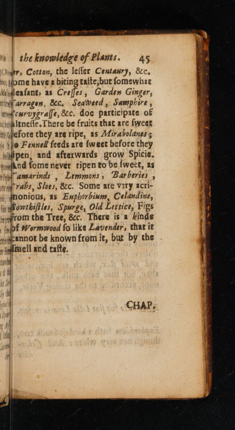 ——* MO Fe St ; ) | shekwowledge of Plants. 45 I, ogtrs Cotton, the lefler Centaury, &c, 4, ome have 2 biting tafte,but fomewhae Mifigafant, as Coeff , Garden Ginger, cif arragen, Sec, Seatveed , Samphire , win’ crrvygralfe, dc. doe participate of djphtlenefie. There be fruits that are {weer ihypeFore they arg ripe, as AZirabolanes ; \j@ Fenned feeds are {weet before they yigipen, and afterwards grow Spicie. sy{kod fome never ripen to be fweet, as vbulel amsarinds , Lemmons, Barberies , my rabs, Sloes, 8c. Some are viry acri- 4 @monious, as Exphorbinm, Celandine, iy Bovrbiffles, Spurge, Old Lettice, Figs eo@com the Tree, &c. There is a kinde yp Wormwood fo like Lavender, that it cannot be known from it, bur by the » tae! and cafte. 1