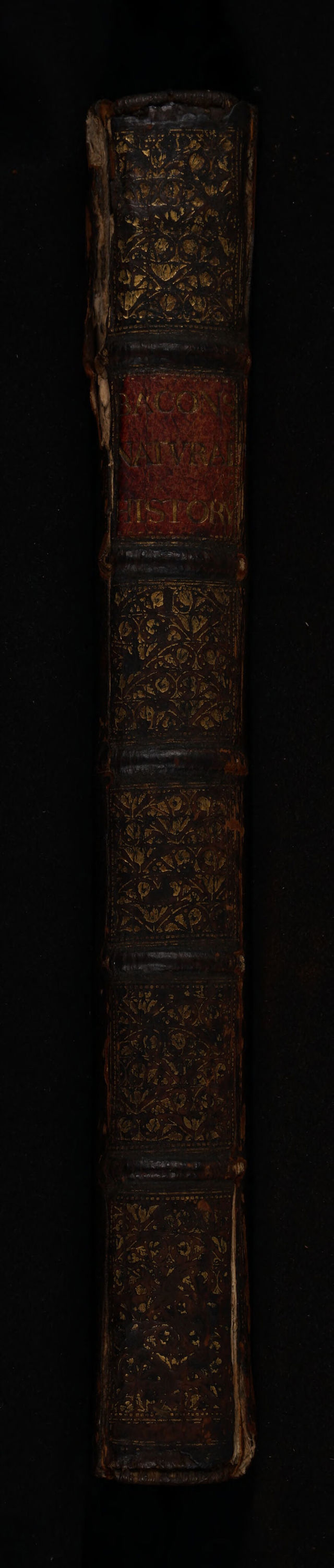 No text description is available for this image