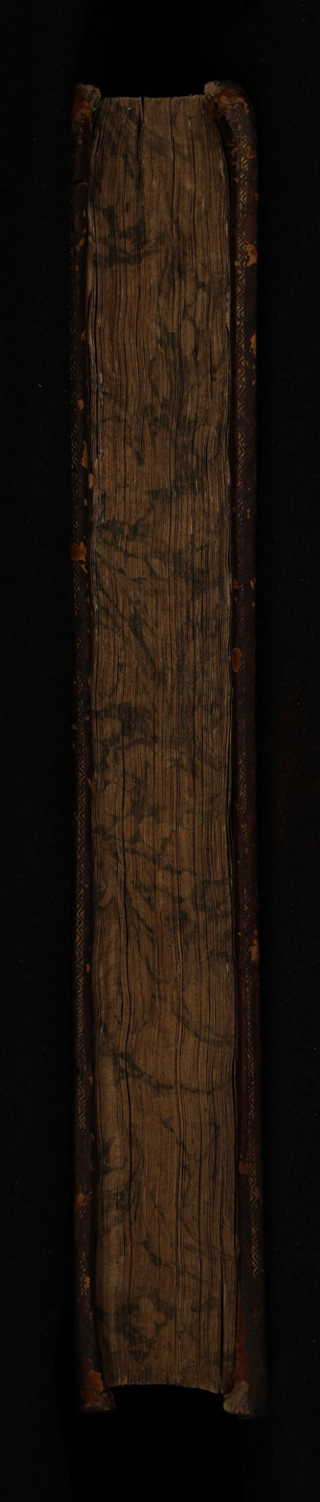 No text description is available for this image