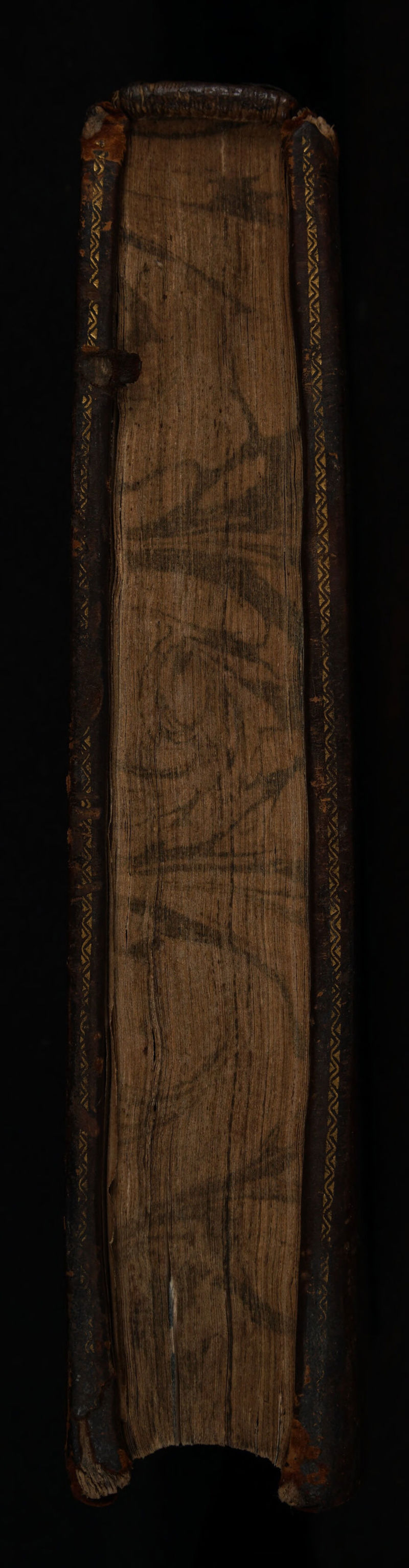 ss - gn at ee ae DD ell Bi eerie IND et tar i ee ne rm Ne ic ele alll