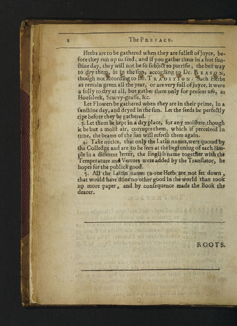 Herbs are to be gathered when they are fullcft of juyce, be¬ fore they run up to feed; and if you gather them inahotfun- ihine day, they will not be fo fubjeft to putriffe; the belt way to dry them, is ip the fpn, according (o Dr. ^ e a s^o n, though not' according to 0r. T r a*d i Tio n •' ^uch Hlfrbs as remain green all the year, or are very full of juy ce, it were a folly to dry at all, but gather them only for prefent ufe, as Houfeleek, Scurvy-graffe, &c. Let Flowers be gathered when they are in their prime, in a fanftiine day, and dryed in the fun. Let the feeds be perfectly ripe before they be gathered. 3. Let them be kept in a dry place, for any moiftlire,though it be but a moift air, corrupts them, which if perceived in time, the beams of the fun willrefrefh them again. 4. Take notice, that only the Latin names,were quoted by the Colledge and are to be feen at thebeginniug of each Sim¬ ple in a different letter, the Englifh name together with the Temperature and Vertues were added by theTranflator, he hopes for the publick good. 5. All the Lattin names to one Herb are not fet down 5 that would have done no other good in the world than took up more paper a and by consequence made the Book the dearer. ROOTS.