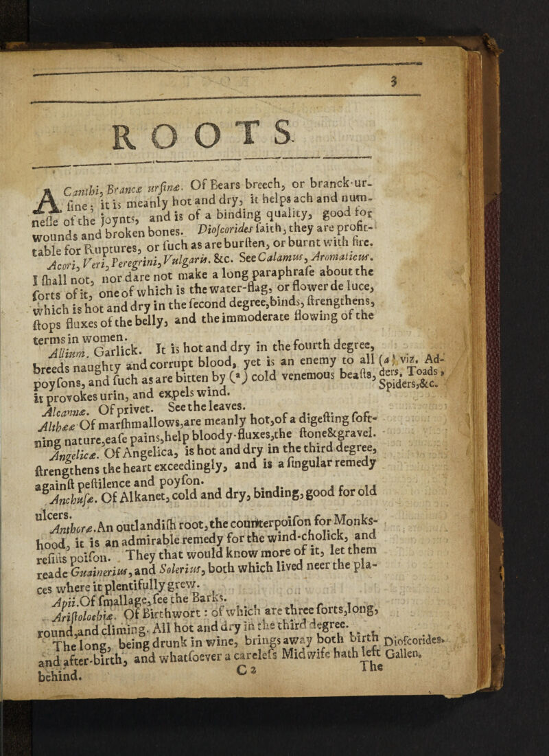 » ACnithu Brand tiffin*. Of Bears breech, or branck-ur. f,ne. it h meanly hot and dry, it helps ach and num- nefl° of the ioynts, and is of a binding quali ty, good tor Wounds and broken bones. Viojcoridcs laitb, they are profit- Uble for Ruptures, or fuch as are burflen, or burnt with tire. I (hall not, nor dare not make a long paraphrafe about the forts of it, one of which is the water-flag, or flower de luce, which is hot and dry in the lecond degree,bind,, luengthens, flops fluxes of the belly, and the immoderate flowing of the “STS. It is hot and dry in the fourth degree . breeds nauehty and corrupt blood, yet is an enemy to all [a, viz. Ad- poyfons, andftich as are bitten by CO cold venemous it provokes urin, and expels wind. Alcana£. Of privet. See the leaves. f Altb** Of mar(hmallows,are meanly hot,of a digefting fofc- riJ nature,eafe pains,help bloody fluxes,the ftone&gravel. Sagflie*. Of Angelica, is hot and dry in the third degree, lengthens the heart exceedingly, and is a Angular remedy dry, binding, good for old UlCAmhor*An outlandifh root, the conirterpoifon for Monks¬ hood, it is an admirable remedy for the wind-cholick, an refills poifon. They that would know more ot it, let them Jade Guaimrw, and Sokrius, both which lived neer the pla- ces where it plentifully grey/. Ami Of fmallaee, fee the Barks. AMoh'lZ. Of Birthwort: of which are three forts,long, round,and climing. All hot and dry in the third degree _ The lone, being drunk in wine, brings awry both birth DiofCOndes. and after-birth, and whatfoeveracarelefs Midwife hath left Gallen. behind. Ci