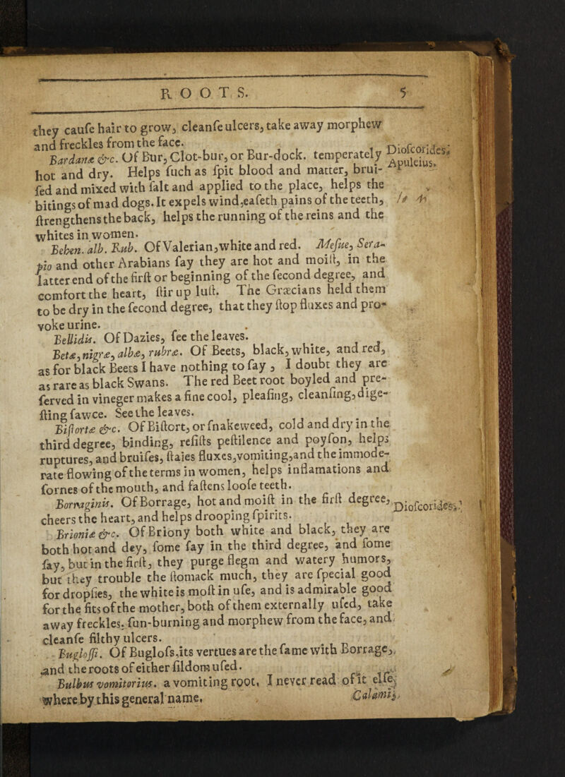 // 4i they caufe hair to grow, cleanfe ulcers, take away morphew and freckles from the face. , , , n- fcor; w BardMf. &c. Of Bur, Clot-bur, or Bur-dock, temperately puleiu^ hot and dry. Helps fuch as fpit blood and matter, brut- r fed and mixed with fait and applied to the place, helps the Wrinesof mad doss. It expels wind,eafech pains of the teeth, ftrengthens the back, helps the running of the reins and the whites in women. ' p Beben. alb. Rub. OfValerian,white and red. Mejue, zaa- pio and other Arabians fay they are hot and tnoift, in the latter end ofthe firft or beginning of the fecond degree, and comfort the heart, flit up lull. Tne Oixcians held them to be dry in the fecond degree, that they flop fluxes and pro¬ voke urine. BeUidit. OfDazies, fee the leaves. BeM,nigr£, alb#, rubra. Of Beets, black, white, and red, as for black Beets I have nothing to fay , I doubt they arc as rare as black Swans. The red Beet root boy led and pre- ferved in vineger makes a fine cool, pleafing, cleanhng,dige- ftingfawce. Seethe leaves. ,, . . Bijlorta&c. Of Biftqrt, orfnakeweed, cold and dry in the third degree, binding, refifts peftilence and poyion, helps ruptures, and bruifes, ftaies fluxes,vomiting,and theimmode- rate flowing of the terms in women, helps inflamations and fornes of the mouth, and fattens loofe teeth. Bormginii. OfBorrage, hotandmoift in the firft degree, Dio£-cor; cheers the heart, and helps drooping fpirits. Brioni£&c. OfBriony both white and black, they are both hot and dev, fome fay in the third degree, and fome fay, but in the firft, they purge flegm and watery humors, but they trouble the ttomack much, they are fpecial good fordropfies, the white is moftinufe, and is admirable good for the fits of the mother, both of them externally ufed, take away freckles, fun-burning and morphew from the face, and cleanfe filthy ulcers. Bu&iojfi. Of Buglofs,its vertues are the fame with borrage,, and the roots of either fildomufed. Bulb us vomit or ins. a vomiting root, I never read of it elie^ sphere by this general name. Calami^