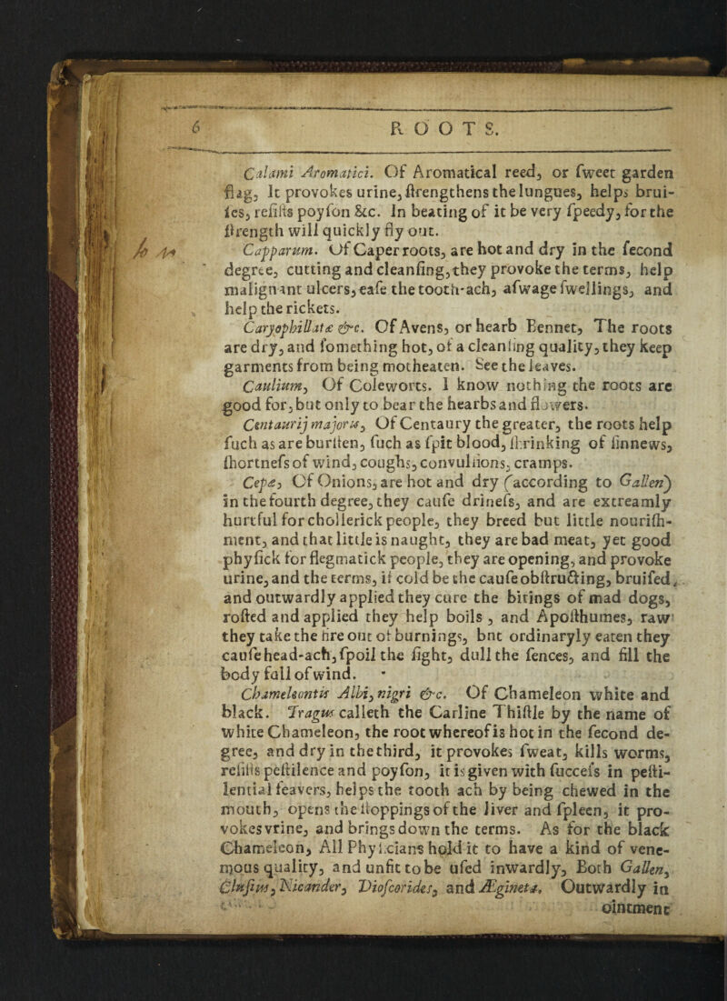 Calami Aromatici. Of Aromatical reed, or fweet garden flag, k provokes urine,fkengthens the lungues, helps brui¬ ses, refills poyfon &c. in beating of it be very fpeedy, for the flrength will quickly fly out. Capparum. Of Caper roots, are hot and dry in the fecond degree, cutting and cleanfing,they provoke the terms, help malignant ulcers,eafe the tooth-ach, afwagefwellings, and help the rickets. CarydphiUat£ &c. Of Avens, or hearb Eennet, The roots are dry, and fomething hot, of a clean ling quality, they keep garments from being motheaten. See the ieaves. Caulium, Of Coleworts. I know nothing the roots are good for, but only to bear the hearbs and flowers. Cmtaurij majors, Of Centaury the greater, the roots help fuch as are burlten, fuch as fpit bloody Ihrinking of finnews, ihortnefsof wind, coughs, convulsions, cramps. Cept) Of Onions, are hot and dry (according to G alien) in the fourth degree, they caufe drinefs, and are extreamly hurtful for cholierick people, they breed but little nourilh- nient, and that little is naught, they are bad meat, yet good phyfick for flegmatick people, they are opening, and provoke urine, and the terms, if cold be the caufe obftru&ing, bruifed, and outwardly applied they cure the bitings of mad dogs, rolled and applied they help boils, and Apofihumes, raw they take the lire out ot burnings, bnt ordinaryly eaten they caufe head-ach,fpoiI the fight, dull the fences, and fill the body fall of wind. Chameleontif Albi^nigri &c. Of Chameleon white and black. ‘Iragus calleth the Carline Thiftle by the name of white Chameleon, the root whereof is hot in the fecond de¬ gree, and dry in the third, it provokes fweat, kills worms, refills peftilence and poyfon, it is given with fuccefs in peni¬ tential leavers, he] ps the tooth ach by being chewed in the mouth, opens the iioppings of the liver and fpleen, it pro¬ vokes vrine, and brings down the terms. As for the black Chameleon, Ail Phyi clans hold it to have a kind of vene- njoas quality, and unfit to be ufed inwardly. Both GaUm, ChtfiM) Nicanler^ T)iofceridesd and Mgimt#, Outwardly in