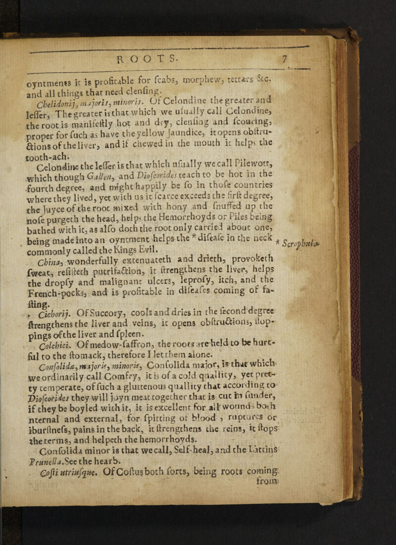 oyntments it is profitable for fcabs, morphew, tetters &c. and all things that need cleofing. Cbelidonij, Maoris, minotis. Of Celondine the greater and leffer5 The greater is that which we ulualiy call Celandine, the root is manifeftly hot and dry, dealing and fcoudng, proper for fuch as have the yellow Jaundice, it opens obftru- aions of the liver, and if chewed in the mouth ic helps the l°'Celondine the lefler is that which ufually we call Pilewott, which though Galleny and Diofioades. teach to be hot in the fourth degree, and might happily be fo in thofe^ countries where they lived, yet with us it fcarce exceeds the firft degree, the Juyce of the root mixed with bony and (huffed up the nofe purgeth the head, helps the Hemorrhoyds or Plies being bathed with it, as alfo doth the root only carried about one, being made into an oyntment helps the * difcafe in the neck * commonly called the Kings Evil. Chinch wonderfully extenuateth and drieth, provoketh fweat, refideth putrifa&ion, it ftrengtbens the liver, helps the dropfy and malignant ulcers, leproly, itch, and the French-pocks, and is profitable in dilcafes coming of fa- * * Cichori). OFSuccory, cools and dries in the fecond degree ftrengthens the liver and veins, it opens obftru&ions, Hop¬ pings of the liver and fpleen. Qolchici. Of medowTaffron, the roots rre held to be hurt¬ ful to the ftomack, therefore I let them alone. Confolidjs^ mtjorif} minoris^ Conlolida major, is that which we ordinarily call Gomfry, it is of a cold quaUity, yet pret¬ ty temperate, of fuch a gluttenous qualhty that according to Dio fear ides they will) oyn meat together that is cue rn funder, if they be boy led with it, it is excellent for alt wounds both nternal and external, for fpitting of blood 5 Ot Li iburfinefs, pains in the back, it ftrengthens the reins, itftops the terms, and helpeth the hemorrhoyds. Confolida minor is that we call. Self-heal, and the Littins J?amelia.See the hearb. CoJH utriufqm* OfCoftus both forts, being roots coming; from