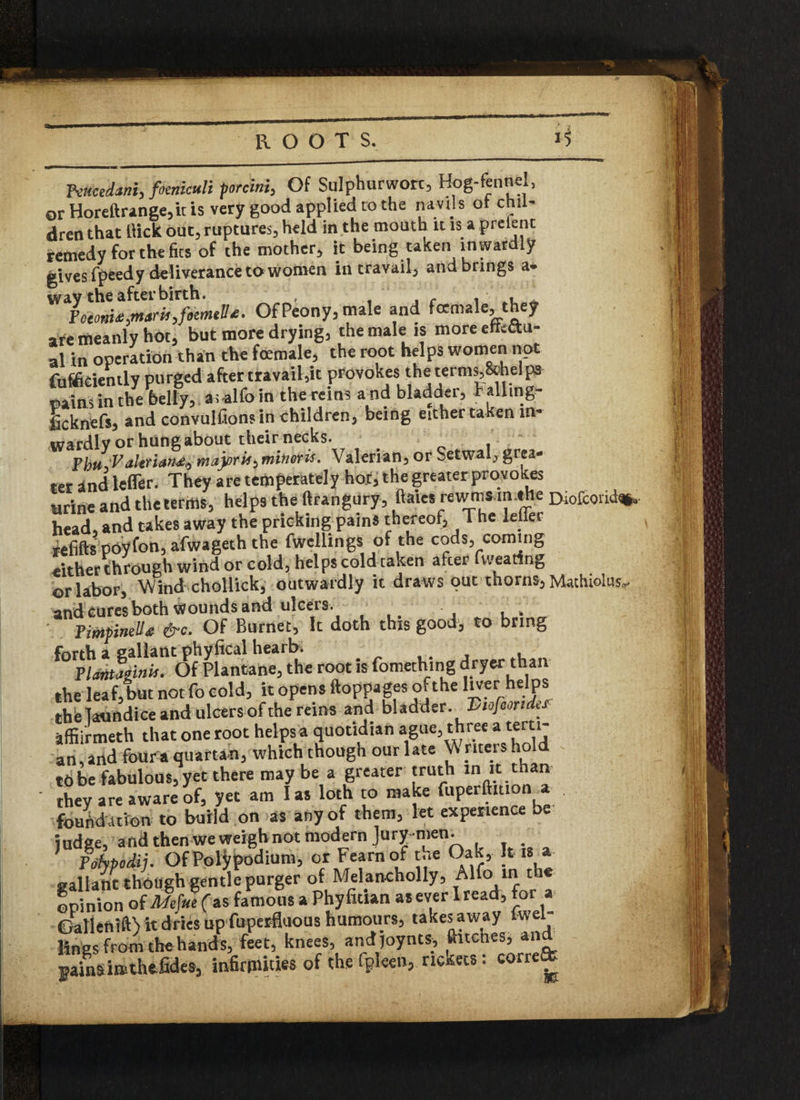 ftttcedani, fienkuli porcini, Of Sulphur wort, Hog-fennel, or Horeftrange,it is very good applied to the navils or chil¬ dren that tlick out, ruptures, held in the mouth it is a prelenc remedy for the fits of the mother, it being taken inwardly gives fpeedy deliverance to women in travail, and brings a- Of Peony, male and female, they are meanly hot, but more drying, the male is more ettsau- al in operation than the female, the root helps women not fufficiently purged after travail,it provokes the ternis,Sthel ps pains in the belly, as-alfo in the reins a nd bladder, tallmg- ficknefs, and convulfions in children, being either taken in¬ wardly or hung about their necks. Pbu^altrian^majorifiminoris. Valerian,orSetwal,grea¬ ter and lefler. They are temperately hot, the greater provoses urine and the terms, hel ps the ftrangury , ftaies rewms.in.the Diofcoiid%a head, and takes away the pricking pains thereof, The leffer refifts pOyfon, afwageth the fwellings of the cods, coming either through wind or cold, helps cold taken after ( wearing or labor. Wind chollick, outwardly it draws out thorns, Macluolus,. andcuresboth Wounds and ulcers. Pimpinell& &c. Of Burnet, It doth this good, to bring f0pLnt?gf^nOfhpiantane, the root isfomething dryer than the leaf, but not fo cold, it opens ftoppages or the liver helps thb jaundice and ulcers of the reins and bladder. Viofeortde* affiirmeth that one root helps a quotidian ague, three a terti¬ an, and four a quartan, which though our late W nters hold tube fabulous,yet there may be a greater truth in it than they are aware of, yet am I as loth to make fuperftition foundation to build on as any of them, let experience be judge, and then we weigh not modern Jury-men. Fohpodij. Of Poly podium, or Fearnof t..e Oak, It is a gallant though gentle purger of Mdancholly, Alfa.in th ©pinion of Me}ue(*s famous a Phyfiuan as ever I read, for a Gallenift) it dries up fuperfluous humours, takes away twei- lines from the hands, feet, knees, andjoynts, finches, and pains ins the fides, infirmities of the fpleen, rickets: e©rre&