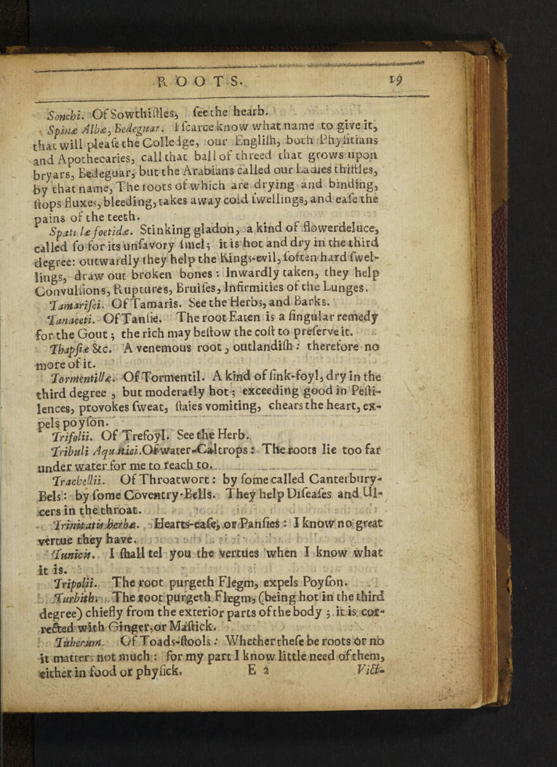 ,«r. &&&£&&&■* ROOT S. i? Soncbi. Of SowthiffleSj fecthe hearb. Sp\n« Alb*, Bedcgjt&t . 1 icarcc Snow wrtat name to give ic, that will pleafe the Colkdge, our Englilh, both Phyiitians and Apothecaries, call that ball of thread that grows upon bryars, Bedeguar, but the Arabians called our Ladies thirties, by that name, The toots of which are drying and binding, Stops fluxes, bleeding, takes away cold dwellings, and eale the pains of the teeth. . Span,U foetid*. Stinking gladon, a kind ot flowerdeluce, called fo for its urifavory Irael; it is hoc and dry in the third degree: outwardly they help the hings-evil, foiten hard fwel- lings, draw out broken bones : Inwardly taken, they help Convulsions, Ruptures, Bruifes, Infirmities of the Lunges. lanttrifd- GfTamaris. Seethe Herbs, and Barks. ‘lanaceti. OfTanlie. The root Eaten is a lingular remedy for the Gout; the rich may bellow the coft to preferve it. Ibapfie &c. A venemous root, outlandilh : therefore no more of it. Tomentill£. OfTormentil. A kind of flnk-foyl,dry in the third degree , but moderatly hot; exceeding good in Peili- lencesj provokes fweat, ftaies vomiting, cheats the hearty ex¬ pels poyfon. frifolii. OfTrefoyl* SeetheHerb. fribuli AquMici.Oiwater-Ca4trops; The roots lie too far under wa.ter.for me to reach to.... . ..... 4Trachzllii. Of Throatwort: by fome called Canterbury- Bels * by fome Coventry-Bells. They help Difeafes and Ul¬ cers in the throat. Trinkati* her be, Hearts-eafe, orPanfies : I know no great vertue they have. ; : ‘funicis. I (hall tel you the vertues when I know what it is. fripdii. The root purgeth Flegm, expels Poyfon. f urbkb. The root pufgeth Flegm, (being hot in the third degree) chiefly from the exterior parts of the body 3 it is cor¬ rected with Ginger, or Maftick. fubemm Of Toads-ftools .* Whether thefe be roots Or no it matters not much : for my part I know little need of them, either in food or phyiick, E i Vitt-