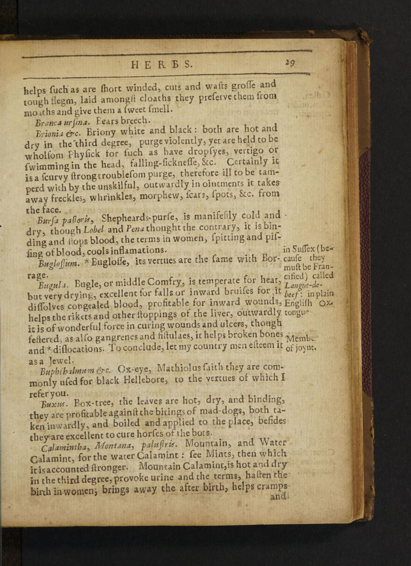 helps fuch as are ftiort winded, cuts and wafts grofle and tough flegm, laid amongll cloaths they prcfcrvethem irooi months and give them a fwcetfmcll. Branca nrfina. Bears breech.. Briottia &c. Briony white and black : Doth are hot and dry in the third degree, purge violently, yet are held to be wholfom Phyfick lor fuch as have dropfyes, vertigo or fwimmingin the head, falling-fickneffe, &c. Certainly it isa fcurvy ftrongtroublefom purge, theretore ill to be tarn- perd with by the unskilful, outwardly in ointments it takes' away freckles, whrinkies, morphew, icars, Ipots, Sec. riotn Burfa p'atlerU, Shepheards-purfe, is manifefily cold and - dry, though Label and Pena thought the contrary, it is bin¬ ding and hops blood, the terms in women, (pitting and pit- fine of blood, cools inflamacions. inSufoCbe* BHgloJJhm. * Buglofle, its venues are the fame with Bor- caufc^they^ Bugle, or middle Comfry, is temperate for heat, but very drying, excellent for falls or inward bruifes for>lC leef\ inplain diffolves congealed blood, profitable for inward wounds, Englifh ox-, helps the rikets and other Hoppings of the liver, outwardly tongue it is of wonderful force in curing wounds and ulcers, though fettered, asalfo gangrenes and fiftulaes, it helps broken bones and * diflocations- To conclude, let my country men eneem it 0£ j0jnt. as a jewel- T .. , _ . . , Bupbtbilmttni&c. Ox-eye, iviathiolusfattn tney are com- juonly ufed for black Hellebore, to the vertues of which I Box-tree, the leaves are hot, dry, and binding, v they are profitable againft the bitingsof mad-dogs, both ta¬ ken inwardly, and boiled and applied to the place, Defides they*are excellent to cure horfes of the bots. . . rJamintha, Montana, talujhis. Mountain, and Water Gaiaroint, for the water Calamint: fee Mints, then which it is accounted ftronger. Mountain Calamint,is hot and dry in the third degree, provoke urine and the terms, ha Ken the birth in women, brings away the after birth, helps cramps a