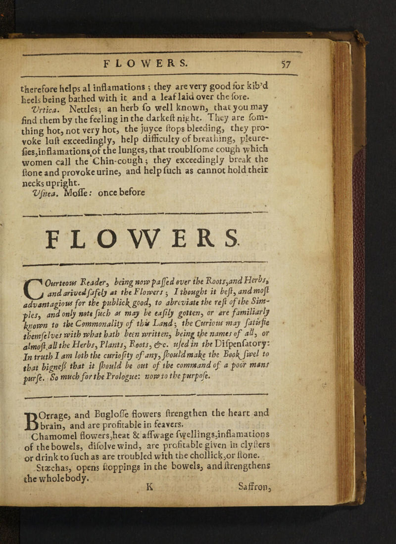 therefore helps al inflamations ; they are very good tor kib’d heels being bathed with it and a leaf laid over the fore. Vrtica. Nettles; an herb fo well known, thatyoumay find them by the feeling in the darkeft night. They are fom- thing hot, not very hot, the juyee flops bleeding, they pro¬ voke lull exceedingly, help difficulty of breat hing, pleure- fieSjinflaniationsof the lunges, that troublfome cough which women call the ‘Chin-cough; they exceedingly break the flone and provoke urine, and help fuch as cannot hold their necks upright. Vfaea. Moffe: once before COurteow Reader, being nowpajjed ever the Roots,and tier us $ and arivedfafely at the Flowers 3 I thought it beft, and mof m. /» I T 7 * 1 1 - • ml /T * /* 1 / C.re/MJ - adv ant agio w for the puhlick^good, to abreviate the refi of the Sim- pies, and only note fuch as may be eafily gotten, or are familiarly known to the Commonality of thv Land 5 the Curious may fatisfie ~ - • y f •# . i I * . I 9 .1 _ C - -a* themfelves with what hath been written, being the names ef aft, or almofi^Uthe Herbs, Fla?its, Roots, &c. ujedin the Difpenfatory; Jn truth I am loth the curiofty of any, jhouldmake the Beok^fwd to that hignefi that it fhould be out of the command of a poor mans purfe. So much for the Trologue: now to thepurpofe. BOrrage, and Bugloffe flowers ftrengthen the heart and brain3 and are profitable in feavers. Chamomel flowers3heat & aifwage fwellings3infiamations of the bowels, difhlvewind, arc profitable given in clyilers or drink to fuch as are troubled with the chollick,or Hone. Staechas, opens (toppings in the bowels, andftrengthens the whole body. K Saffron,